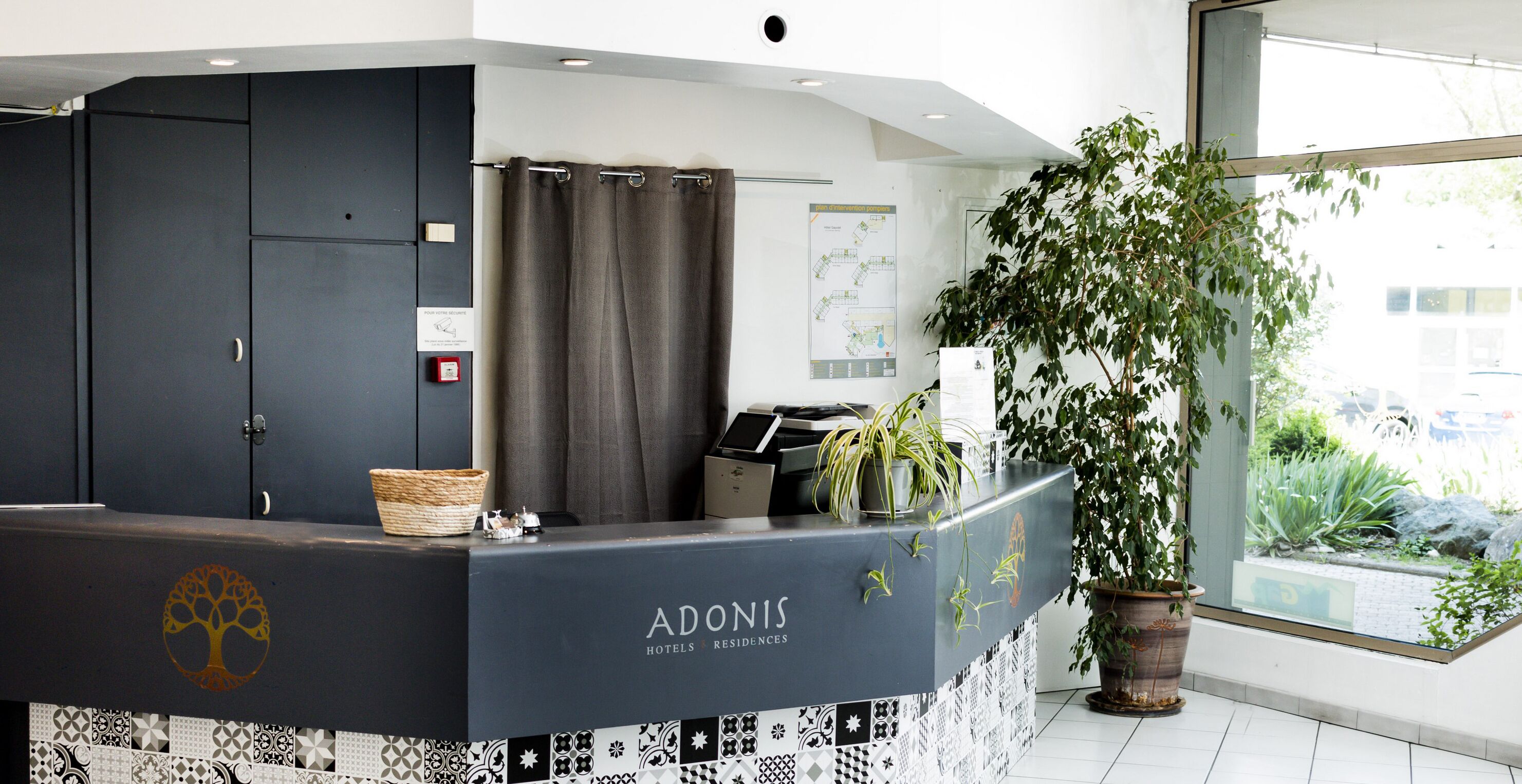 Foto - Adonis Gapotel