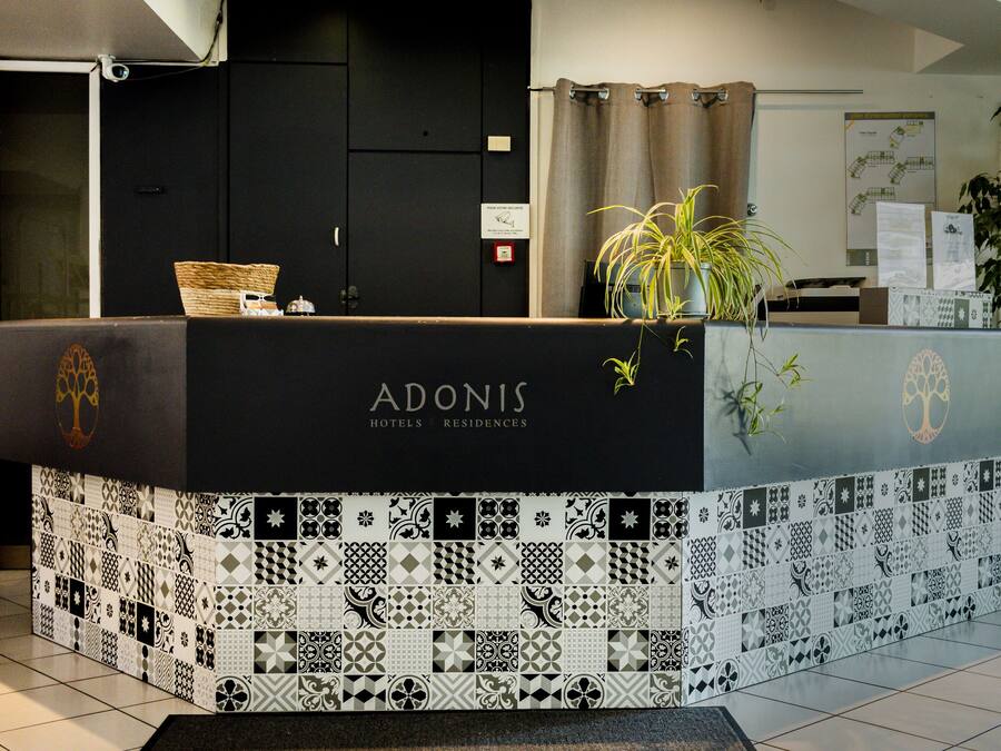 Una recepción con un diseño a blanco y negro, una planta y un cartel que indica el nombre del hotel 'ADONIS'.