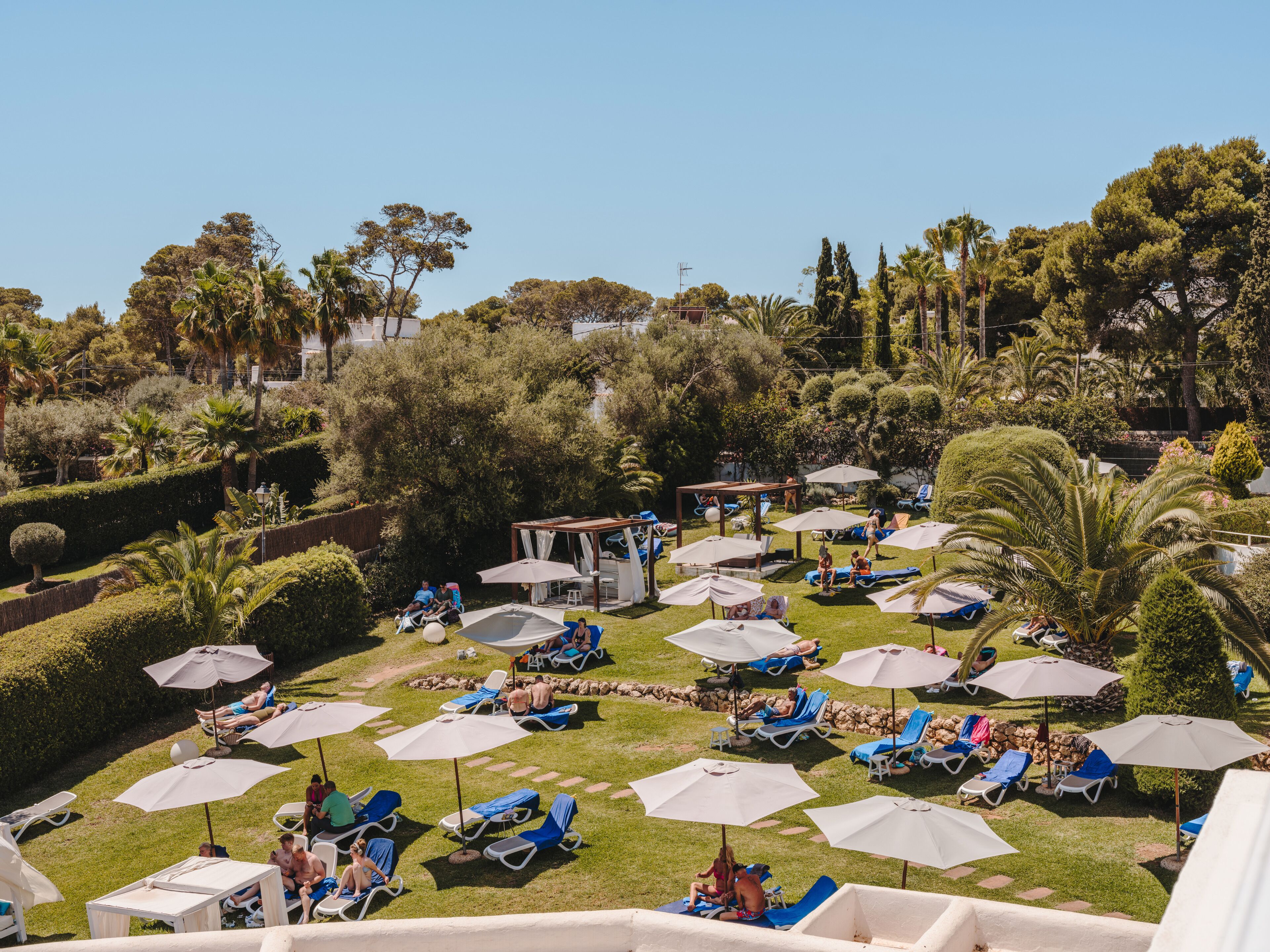 Un espace extérieur ensoleillé, doté de plusieurs chaises longues et de parasols, et entouré d’une végétation luxuriante et d’arbres.