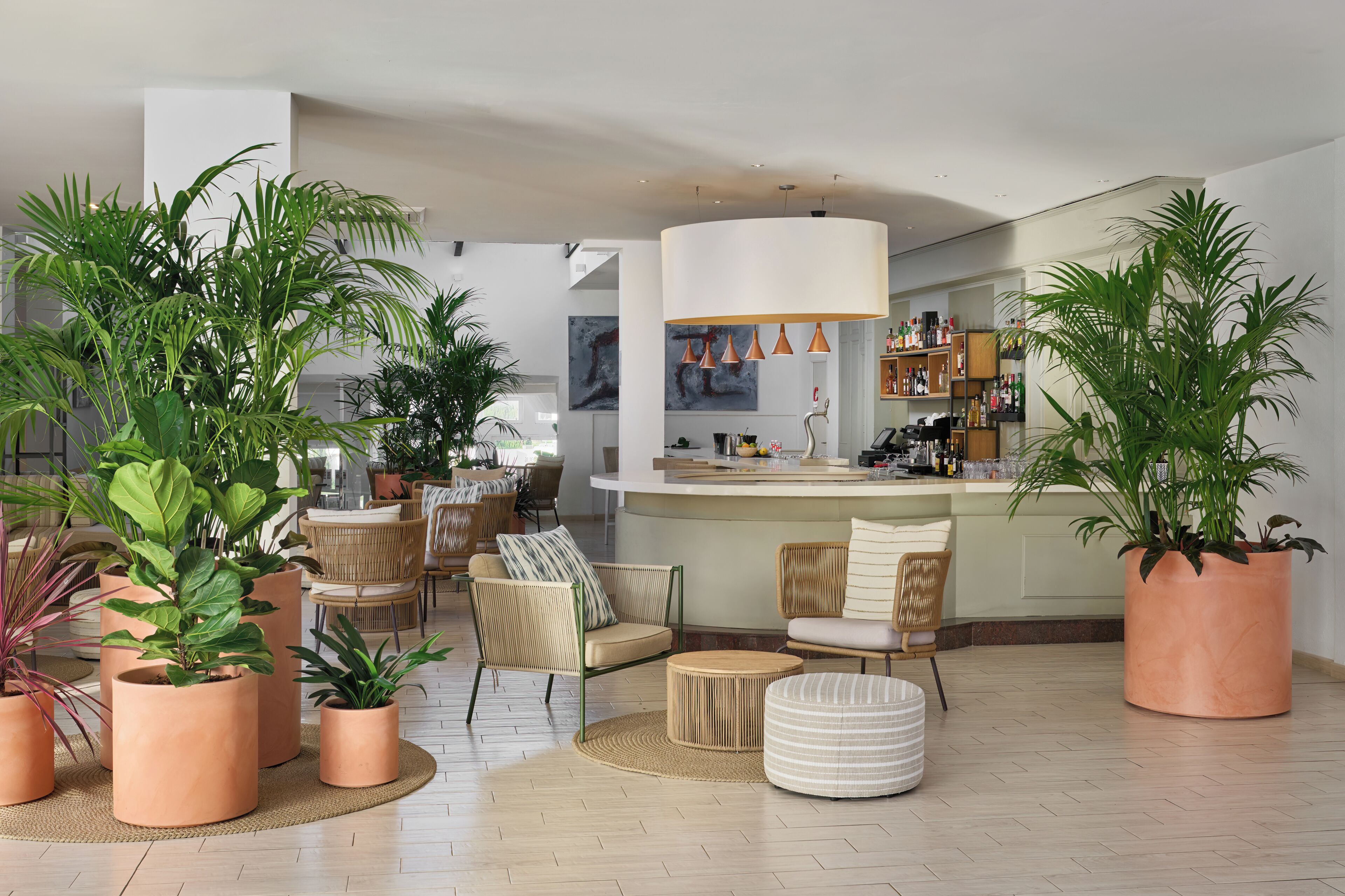 Un intérieur moderne avec un bar, des sièges et des plantes en pot.