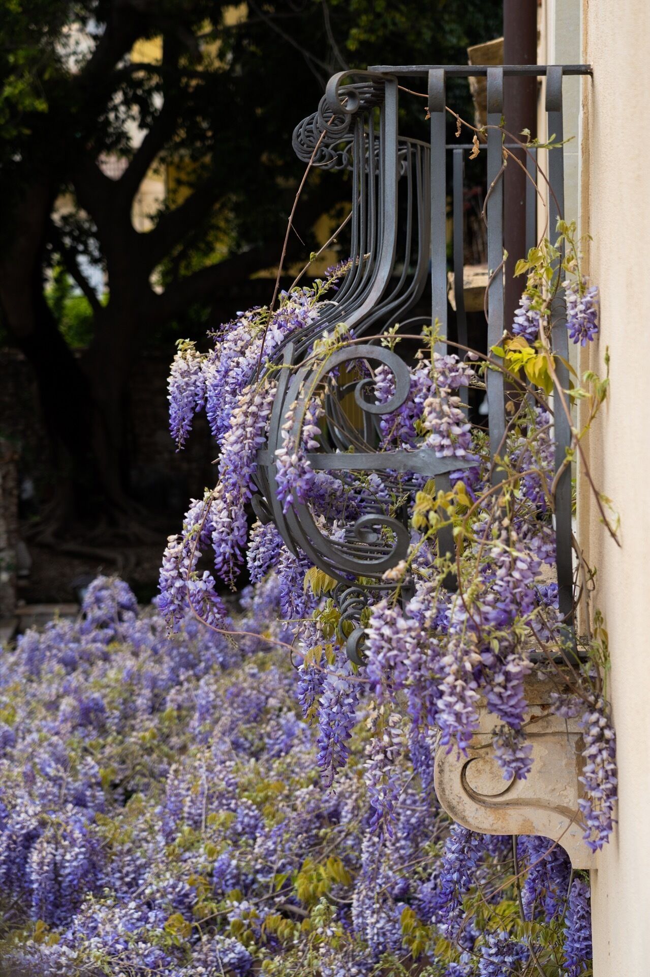 luxury villa, garden view, annex building | balcony