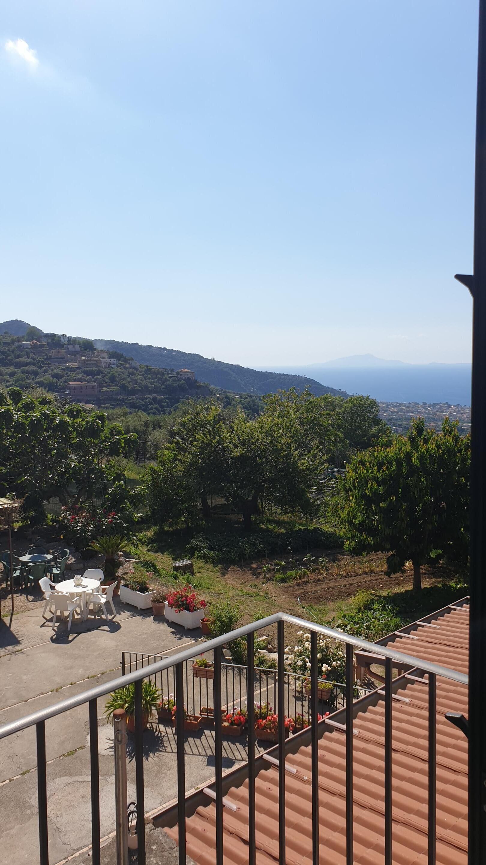 A terrace with a view of a hillside, a table with chairs, and potted plants.