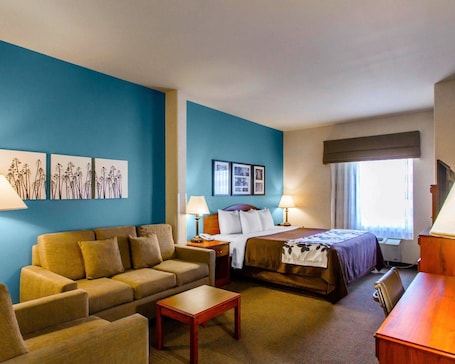 Suite, 1 King Bed with Sofa bed, Accessible, Non Smoking | Desk, laptop workspace, iron/ironing board, free WiFi