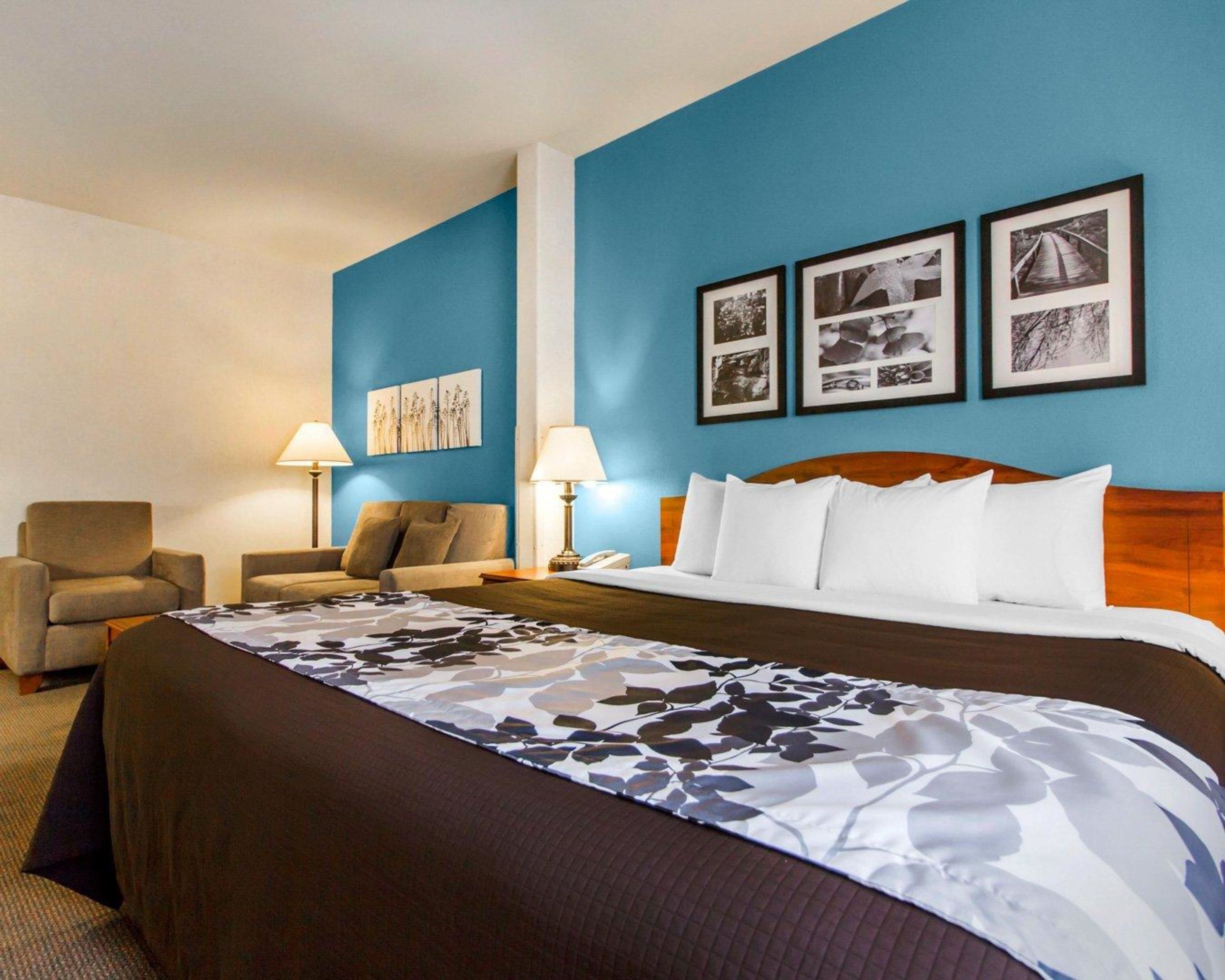 suite, 1 king bed with sofa bed, accessible, non smoking | desk, laptop workspace, iron/ironing board, free wifi