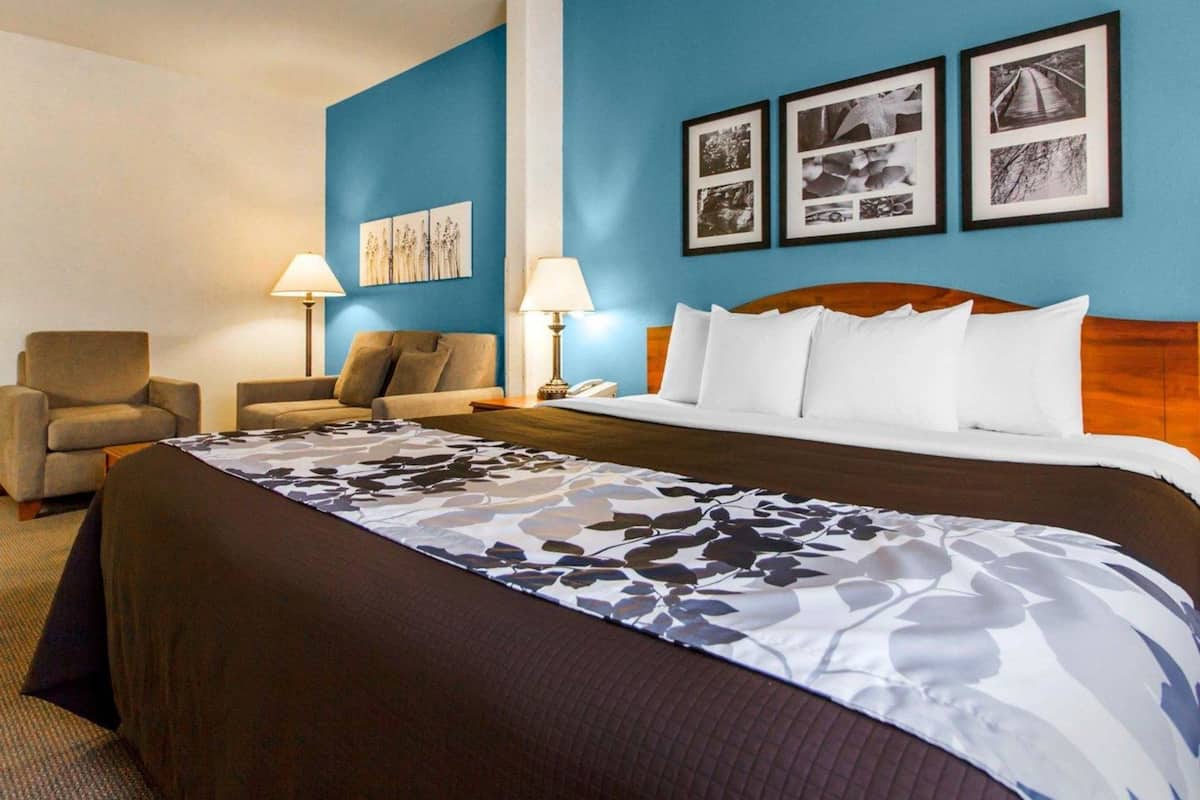A hotel room with a large bed, two armchairs, a desk, and a nightstand. There are three framed pictures on the wall.