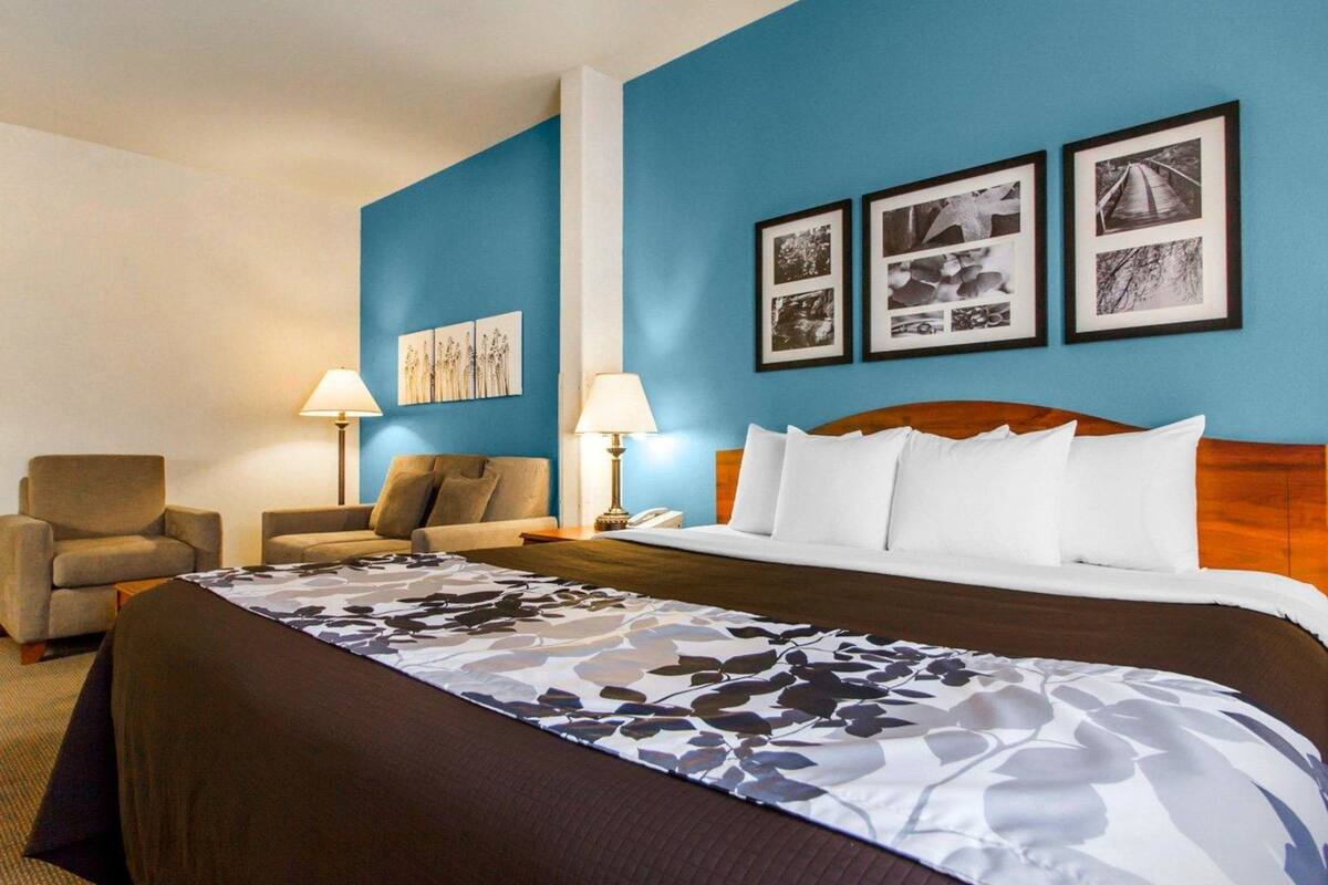 suite, 1 king bed with sofa bed, accessible, non smoking | desk, laptop workspace, iron/ironing board, free wifi