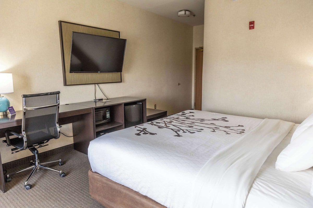 Desk, laptop workspace, iron/ironing board, free WiFi