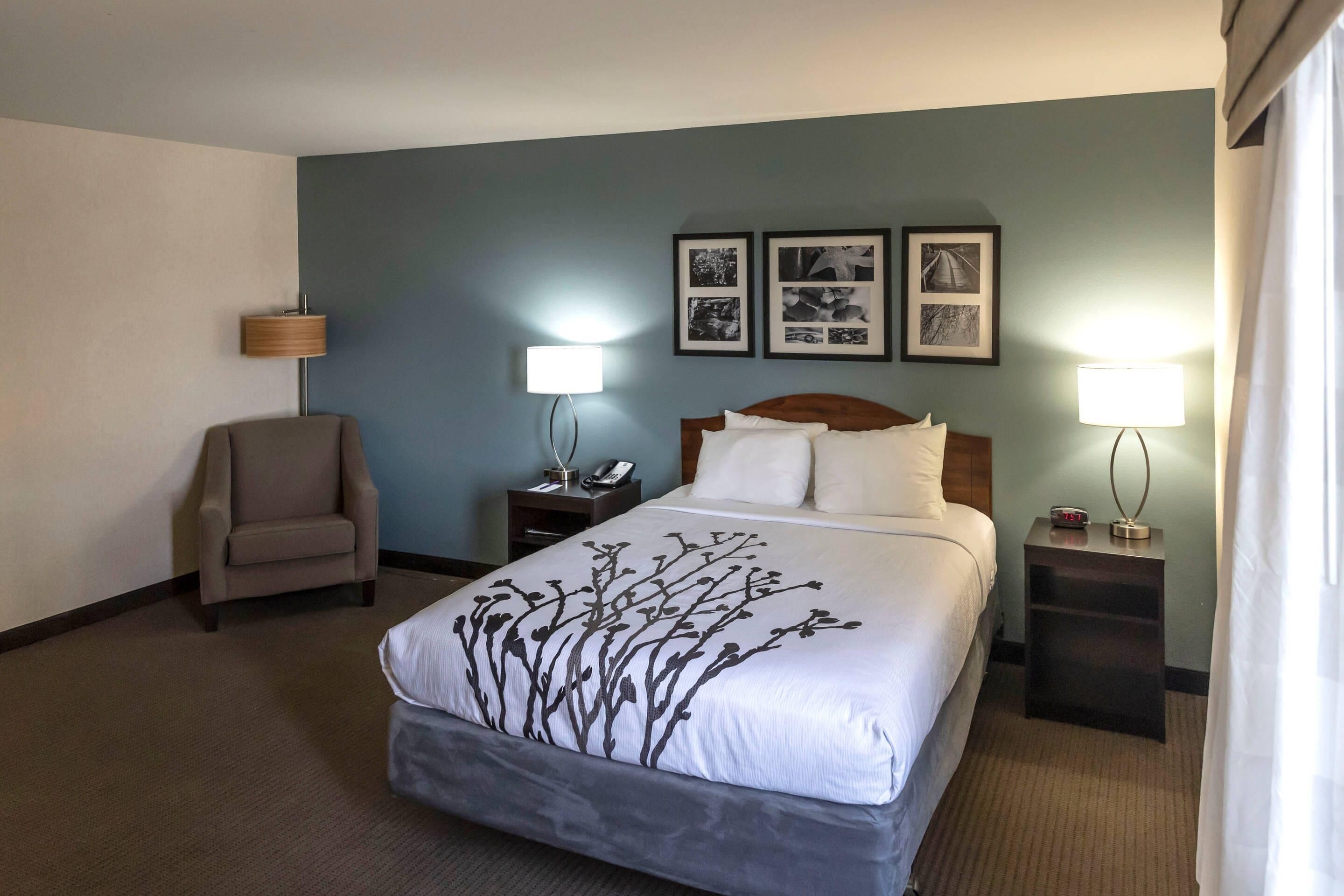 Una habitación de hotel con una cama, una silla, dos mesitas de noche con lámparas y tres cuadros en la pared.