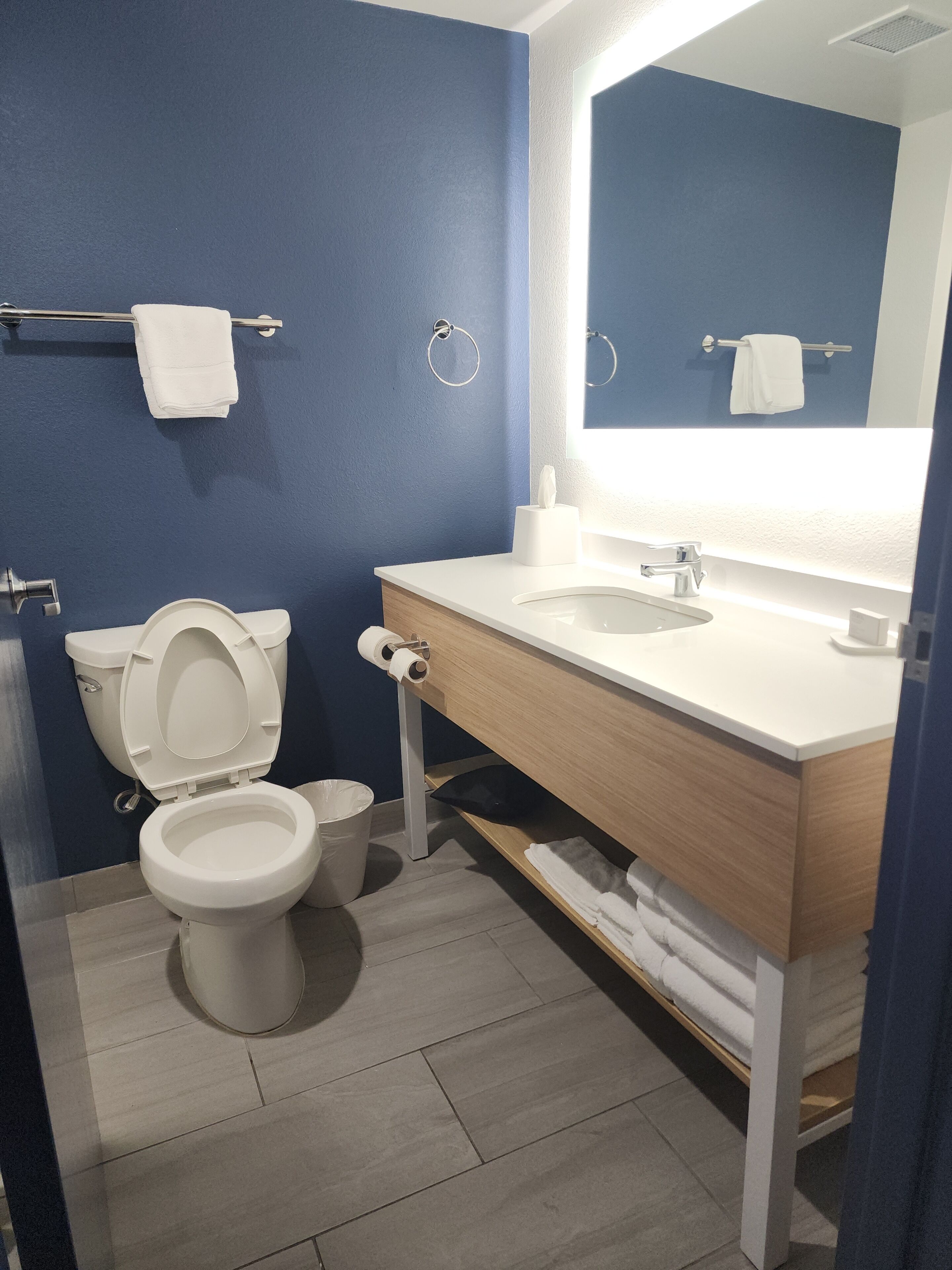 hair dryer, towels, soap, shampoo