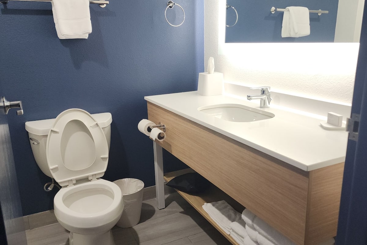 hair dryer, towels, soap, shampoo