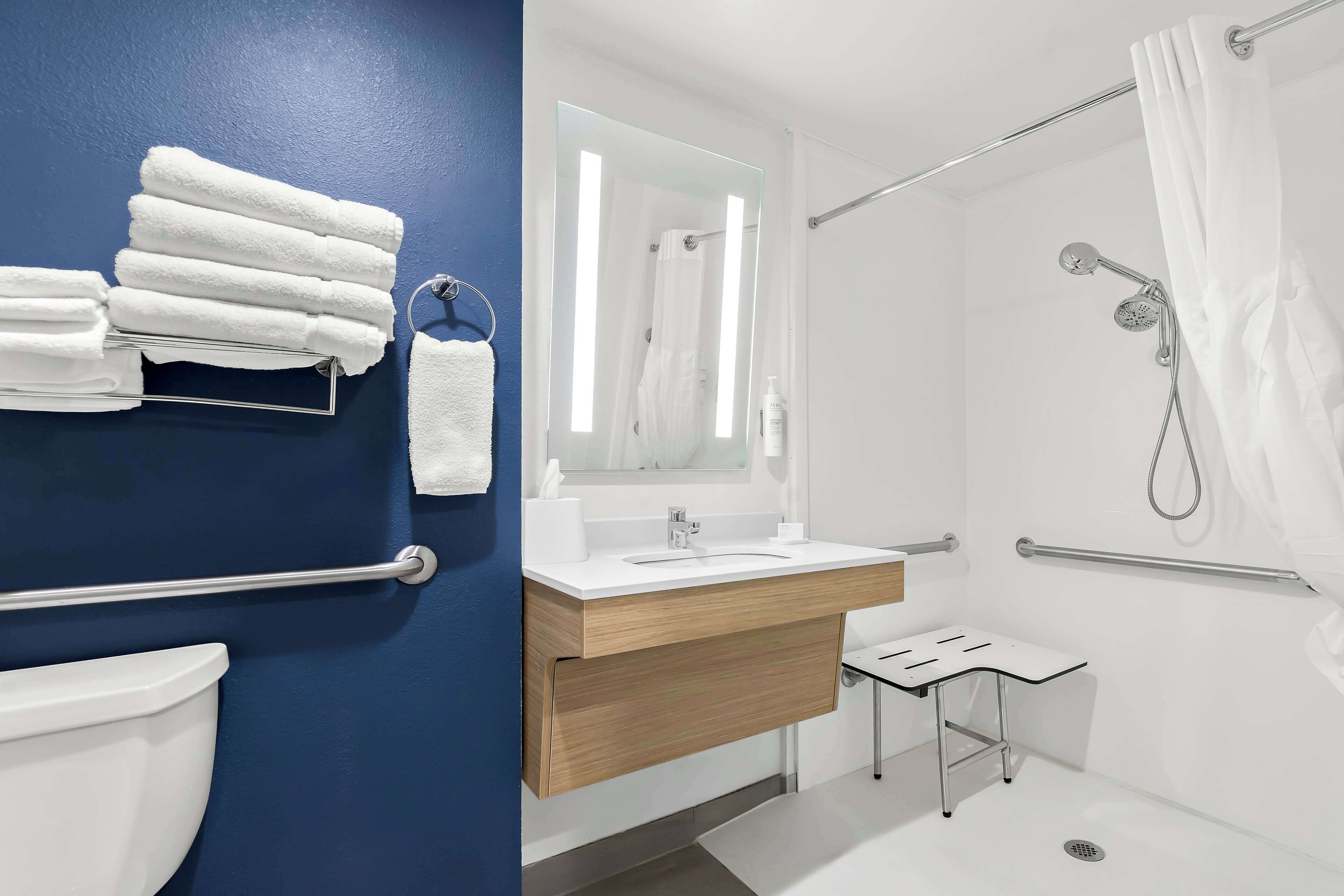 room, 1 king bed, accessible (mobility & hearing, roll-in shower) | bathroom shower