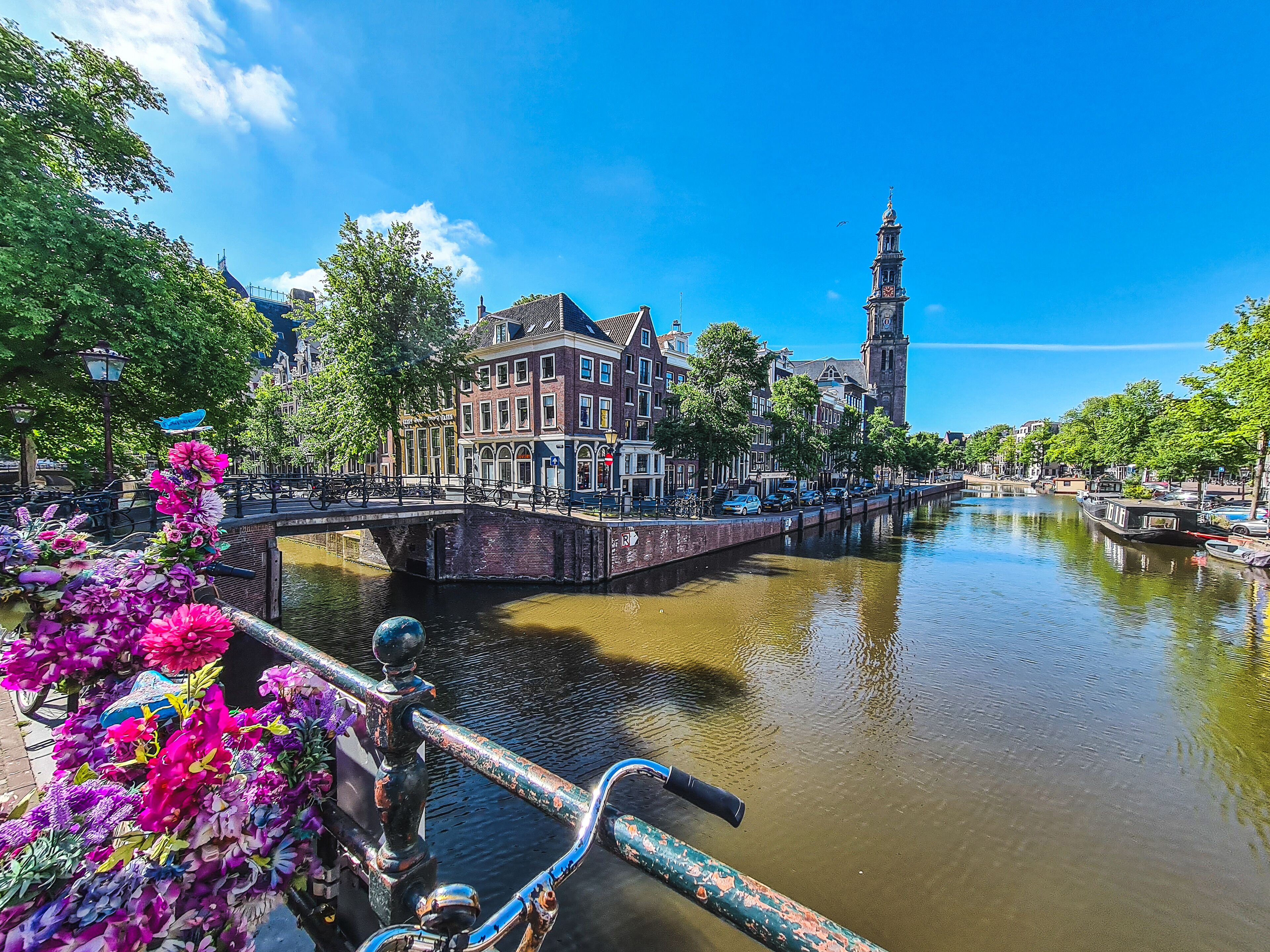 land view from property