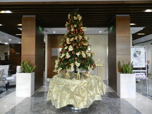 Entrada (vista interna)