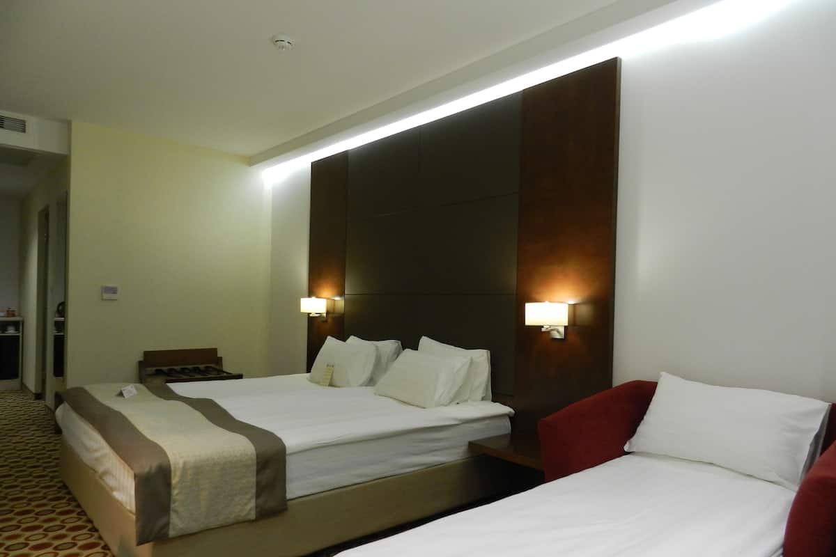 Biancheria da letto di alta qualità, materassi in memory foam, minibar