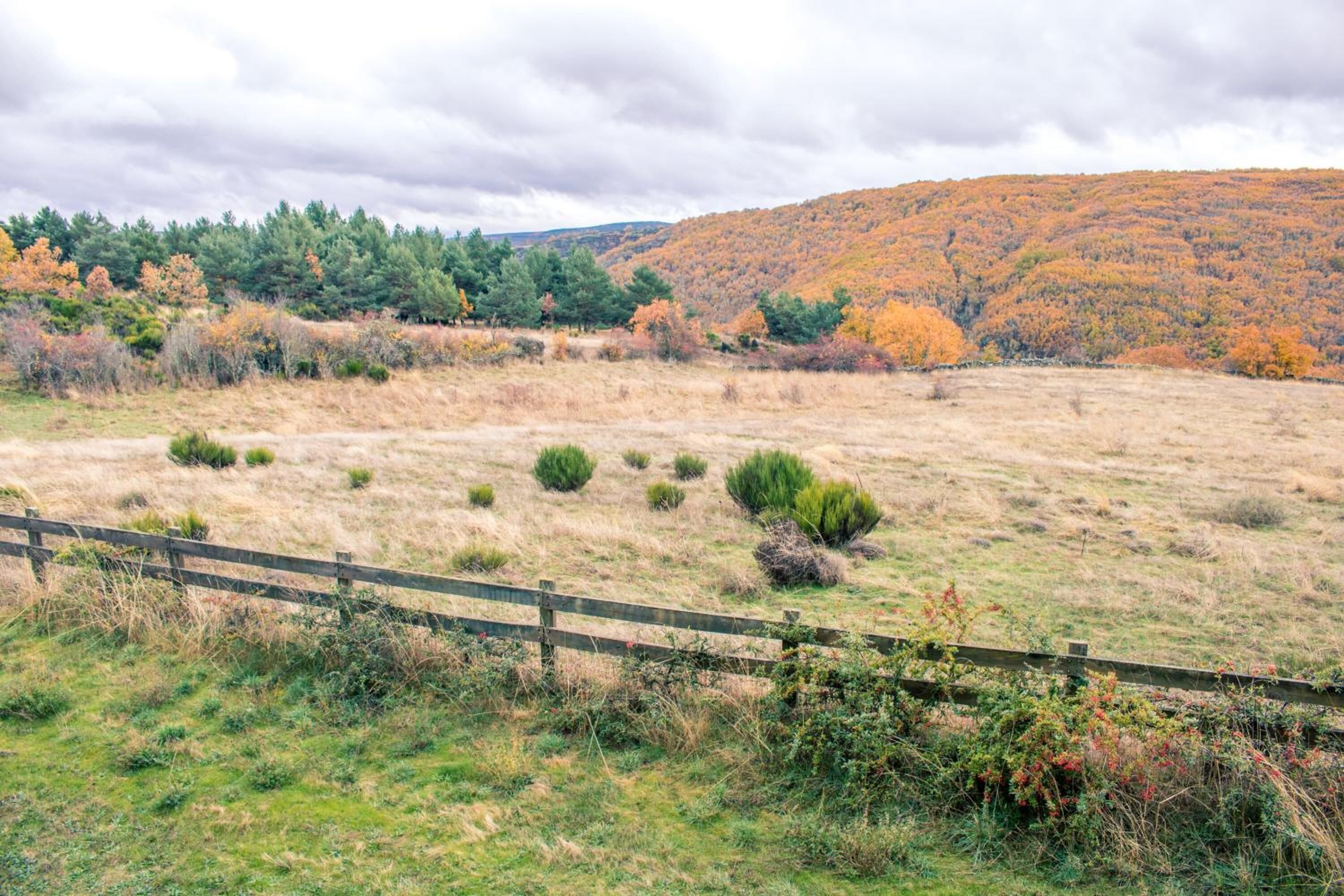 A rural landscape with a wooden fence, a grassy field, and a forested hill in the background.