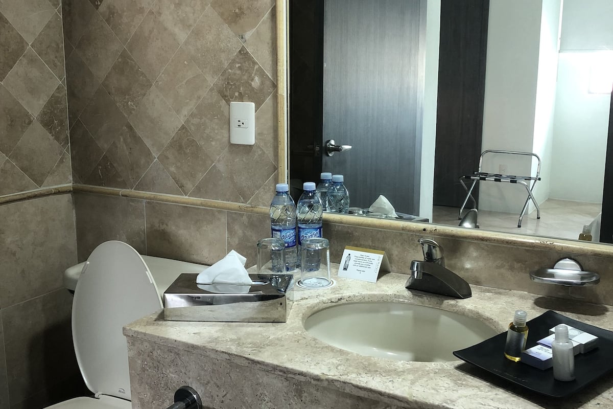 double room, accessible | bathroom | shower, free toiletries, hair dryer, towels