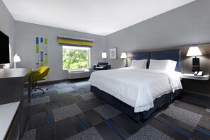 Room, 1 King Bed, Accessible