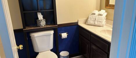 A bathroom with a toilet, a sink, a towel rack, a trash bin, and a framed painting on the wall.