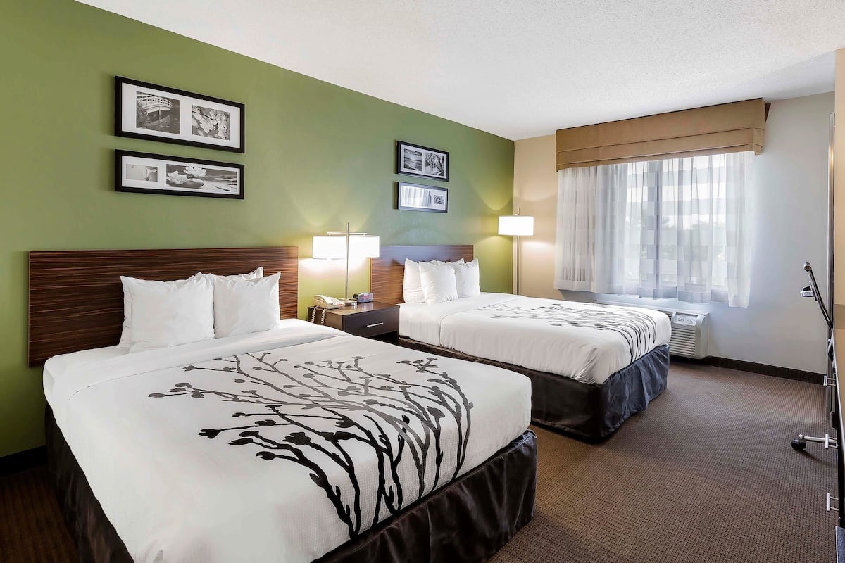 A hotel room with two beds, a large window with sheer curtains, and wall-mounted artwork.