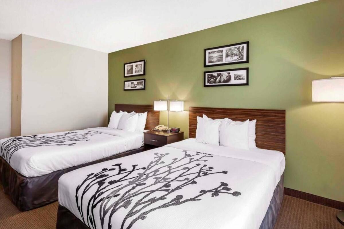 A hotel room with two beds, a nightstand, a lamp, and framed pictures on the wall.
