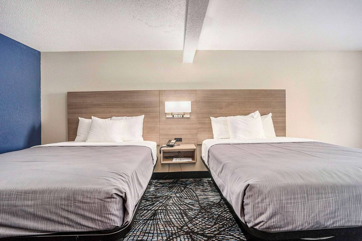 Quarto de hotel com duas camas de solteiro, mesa de cabeceira com abajur e tapete estampado.