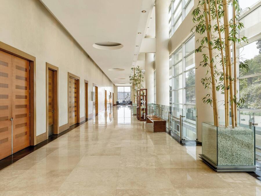 Un largo pasillo con puertas de madera, baranda de cristal y una planta de bambú.
