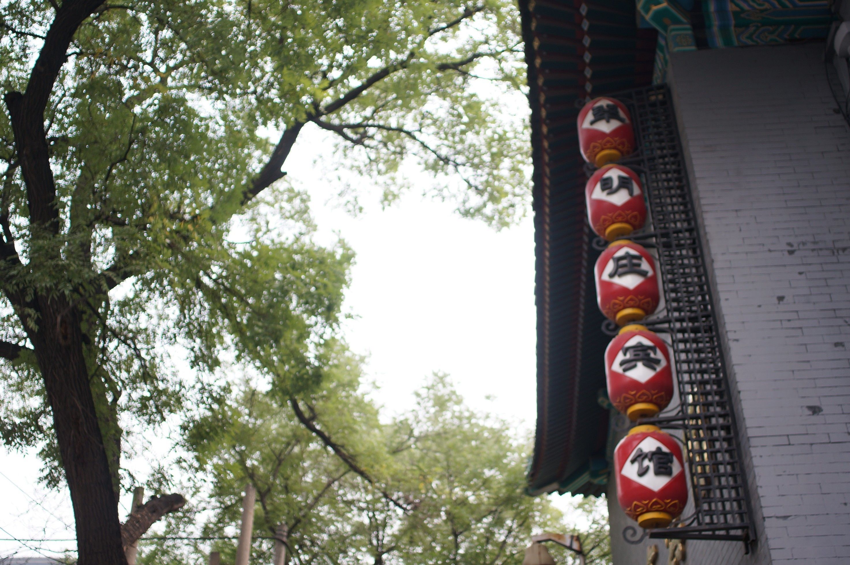 Photo - Jade Garden Hotel