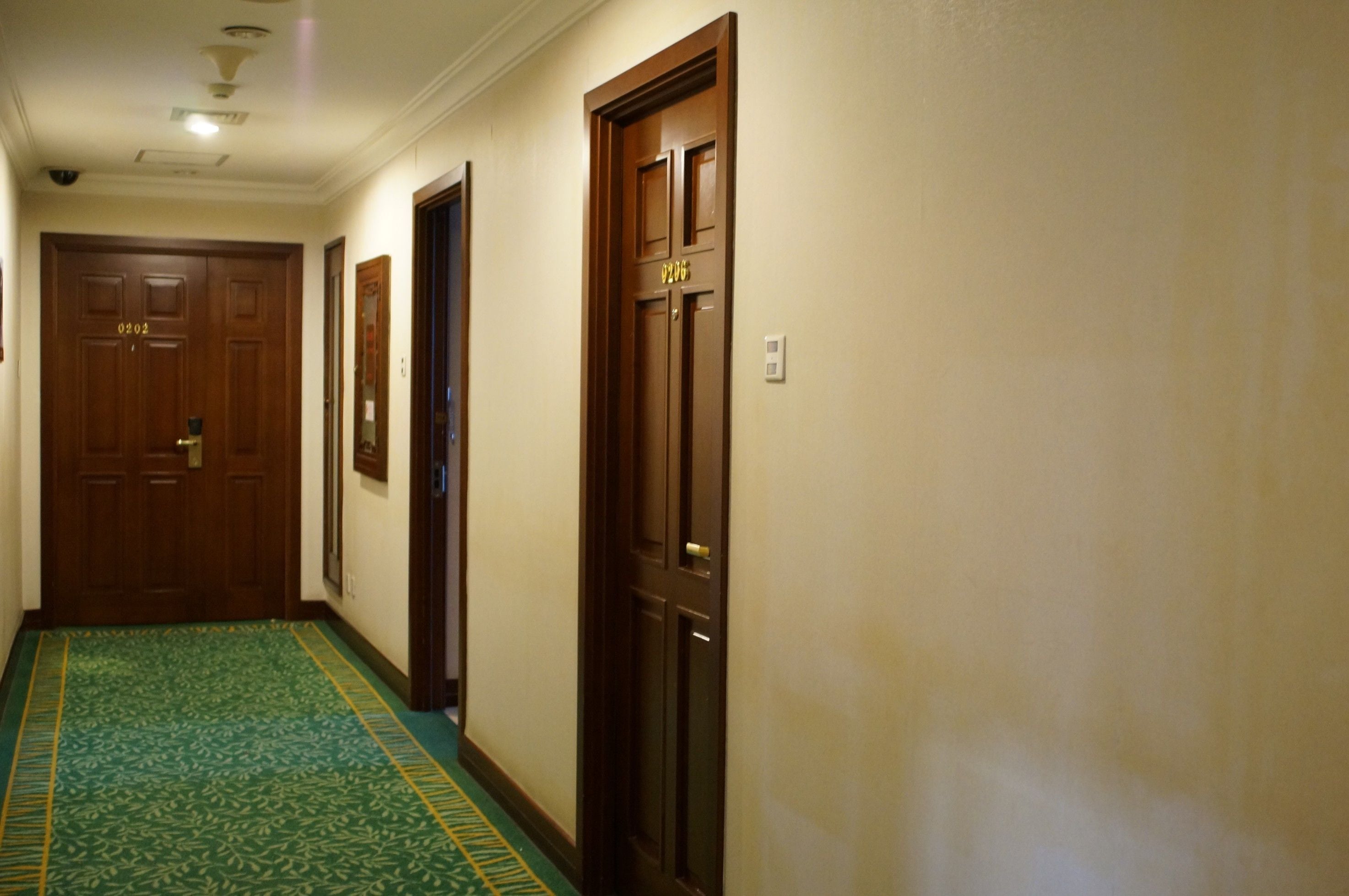 Un pasillo con puertas de madera, alfombra estampada verde y pared de color claro.
