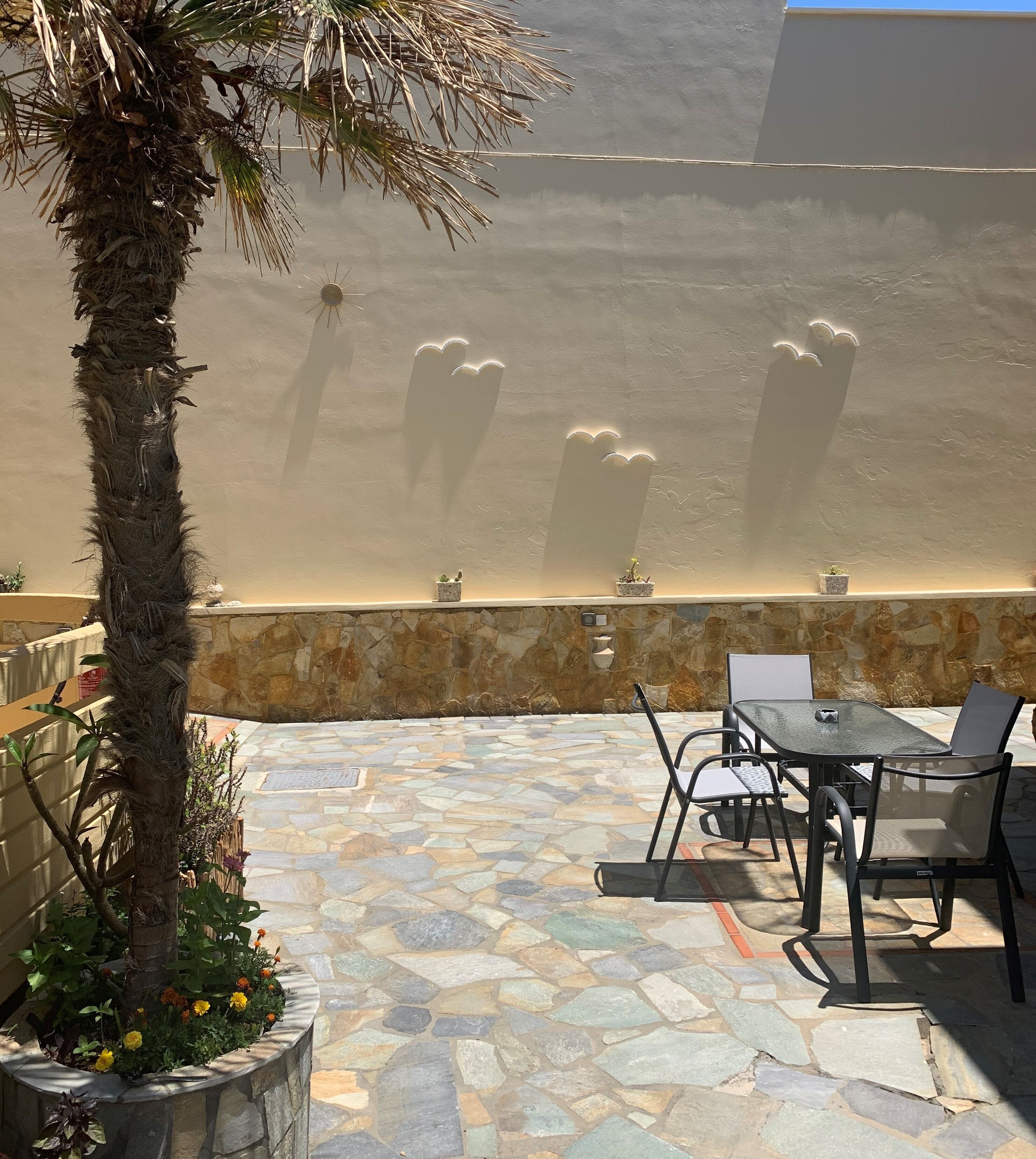 An outdoor patio with stone flooring, a palm tree, and a table with chairs.