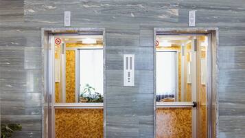 Two elevator doors with a mirrored wall design, a plant in the foreground, and a light switch on the wall.