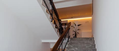 A staircase with a wooden handrail and black metal balusters, leading to a landing with a potted plant.