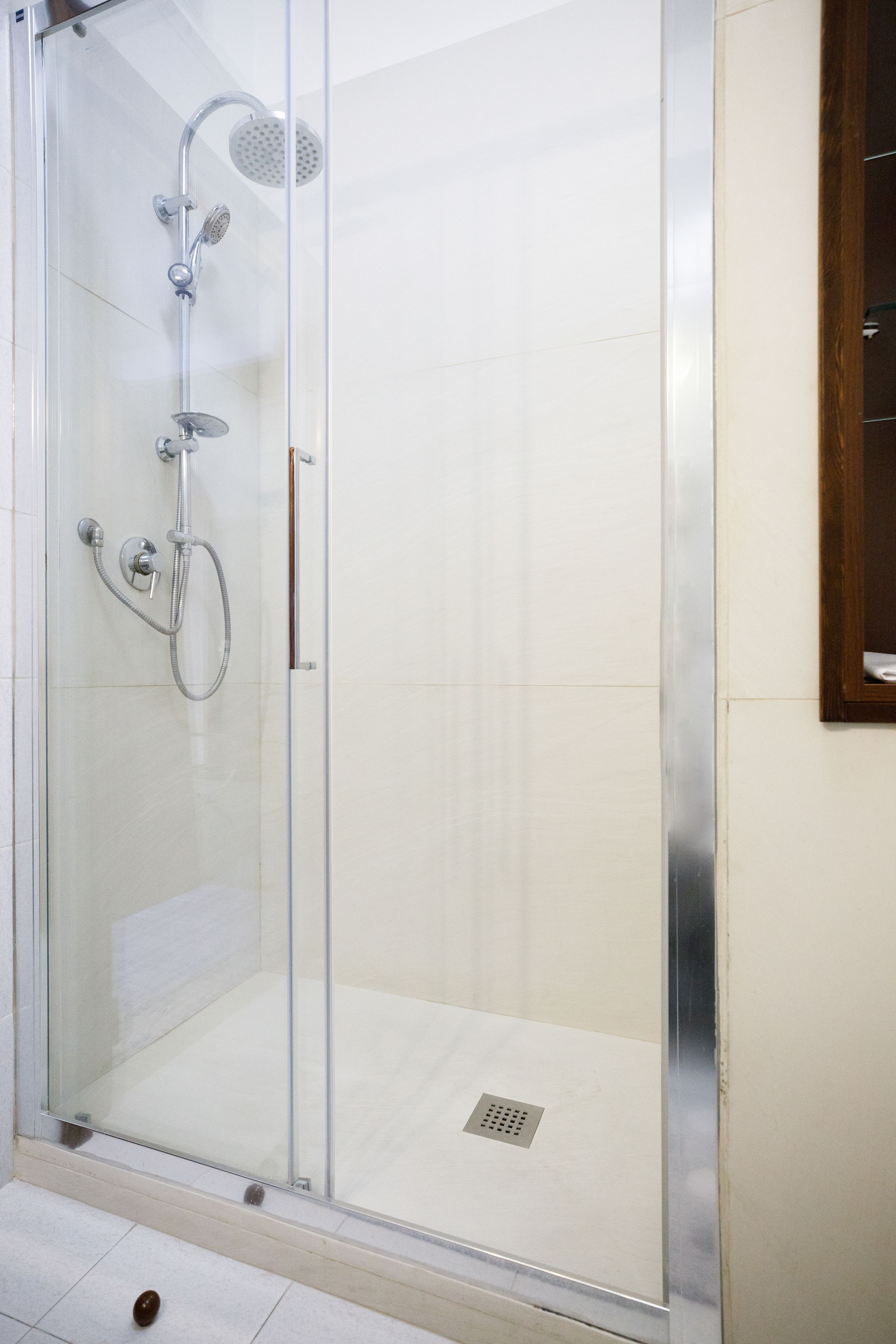 A glass-enclosed shower with a handheld showerhead, a wall-mounted showerhead, and a floor-mounted handheld showerhead.