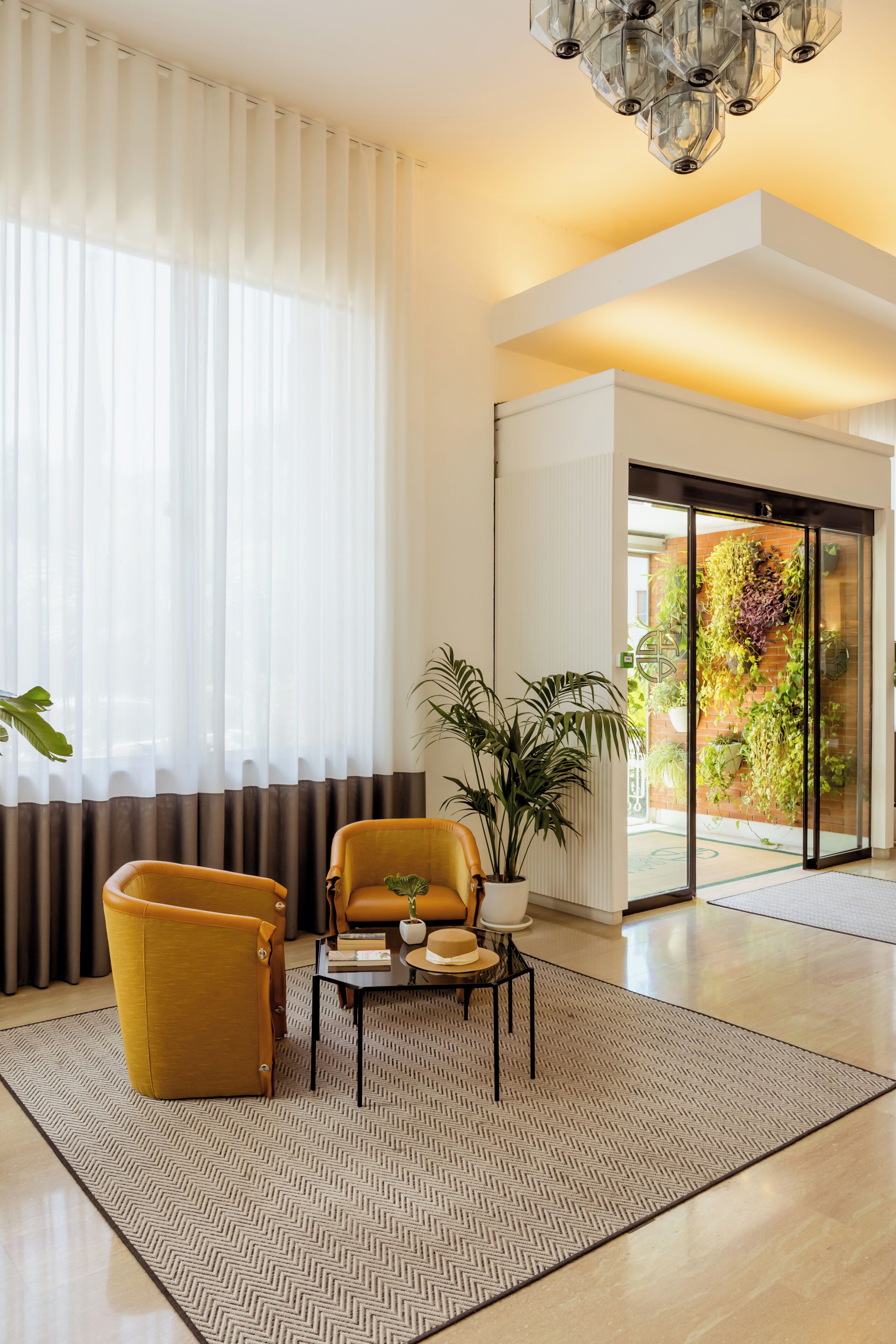 Un salon moderne avec un canapé, une table basse et une plante en pot.