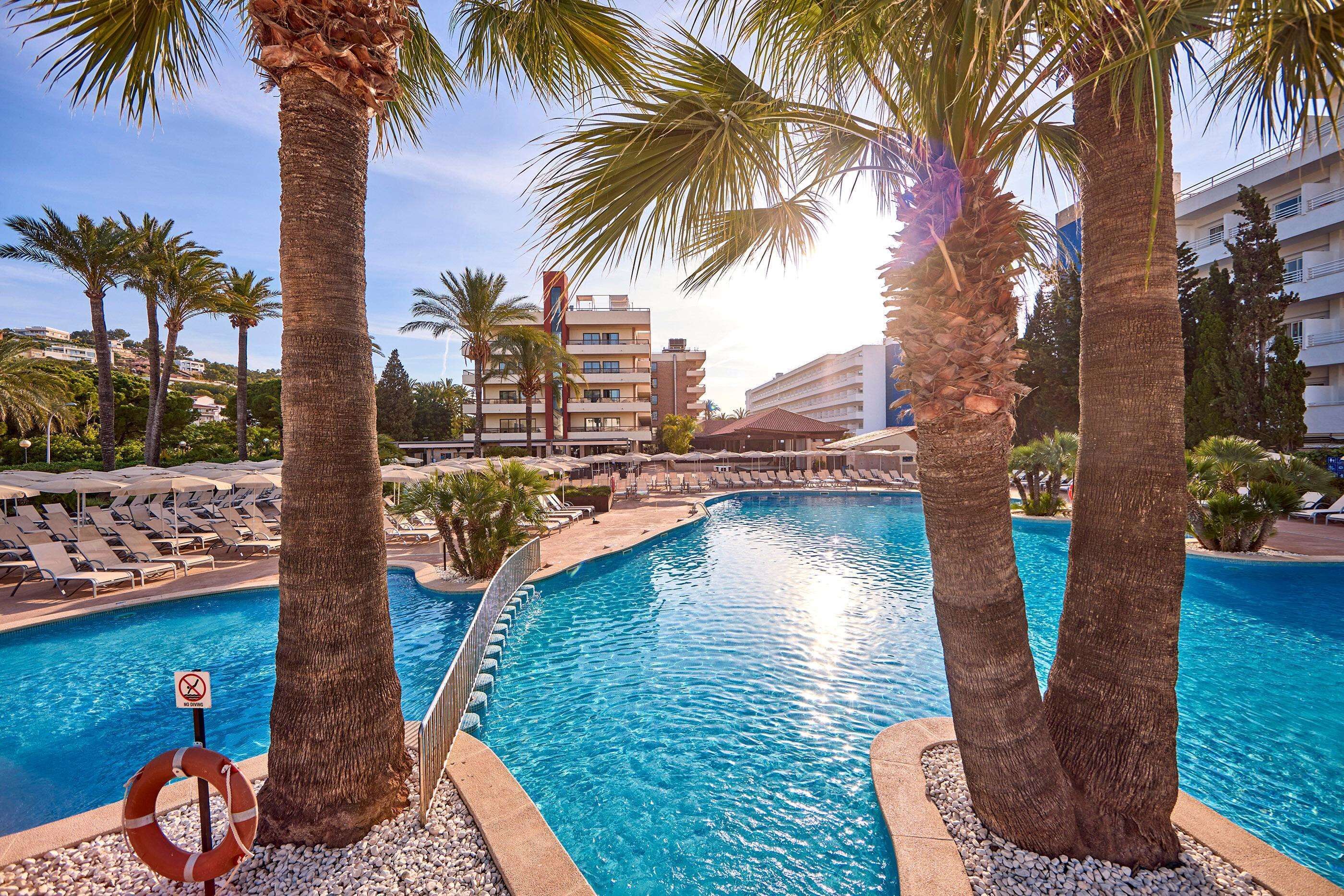 Photo - Zafiro Rey Don Jaime