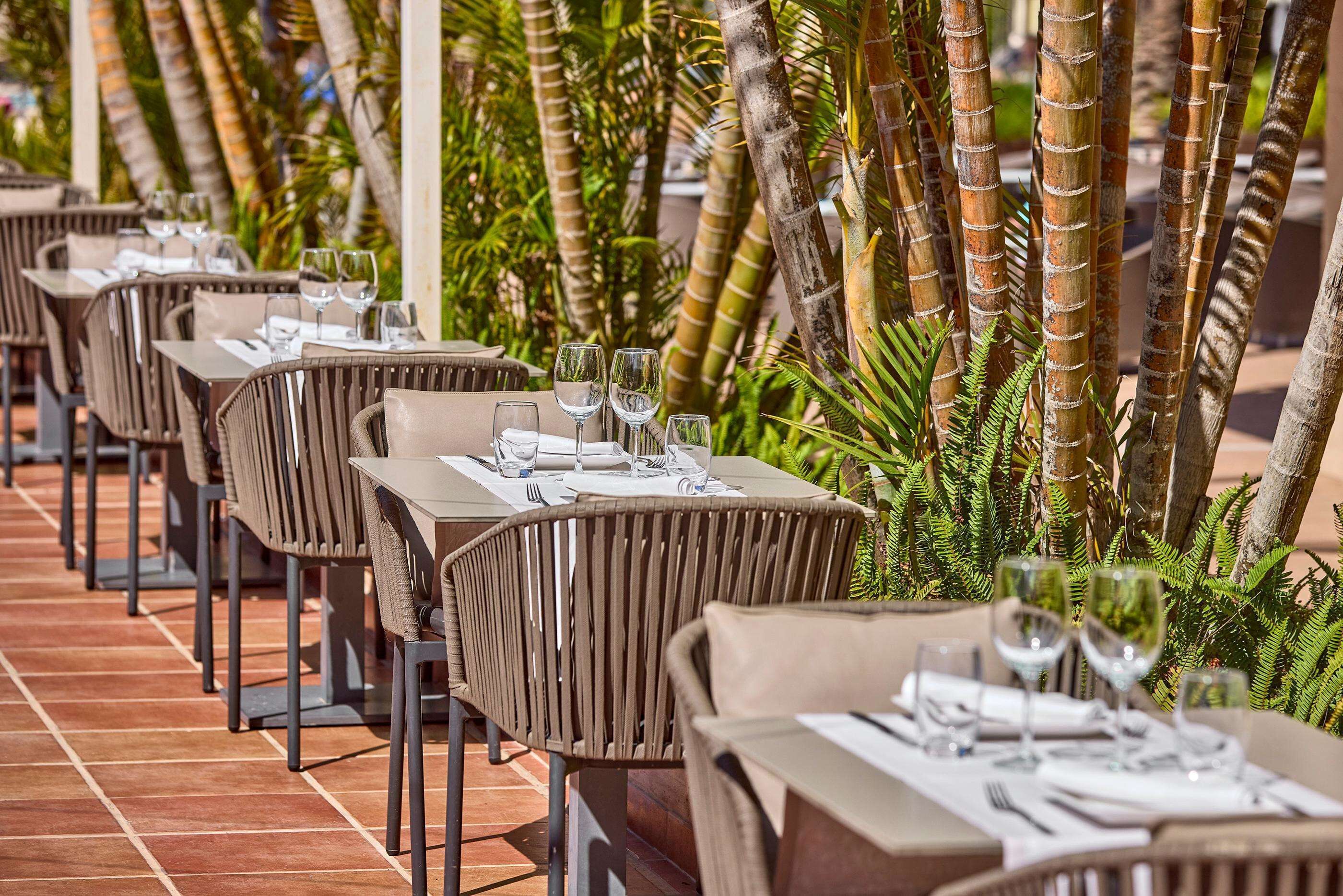 Photo - Zafiro Rey Don Jaime