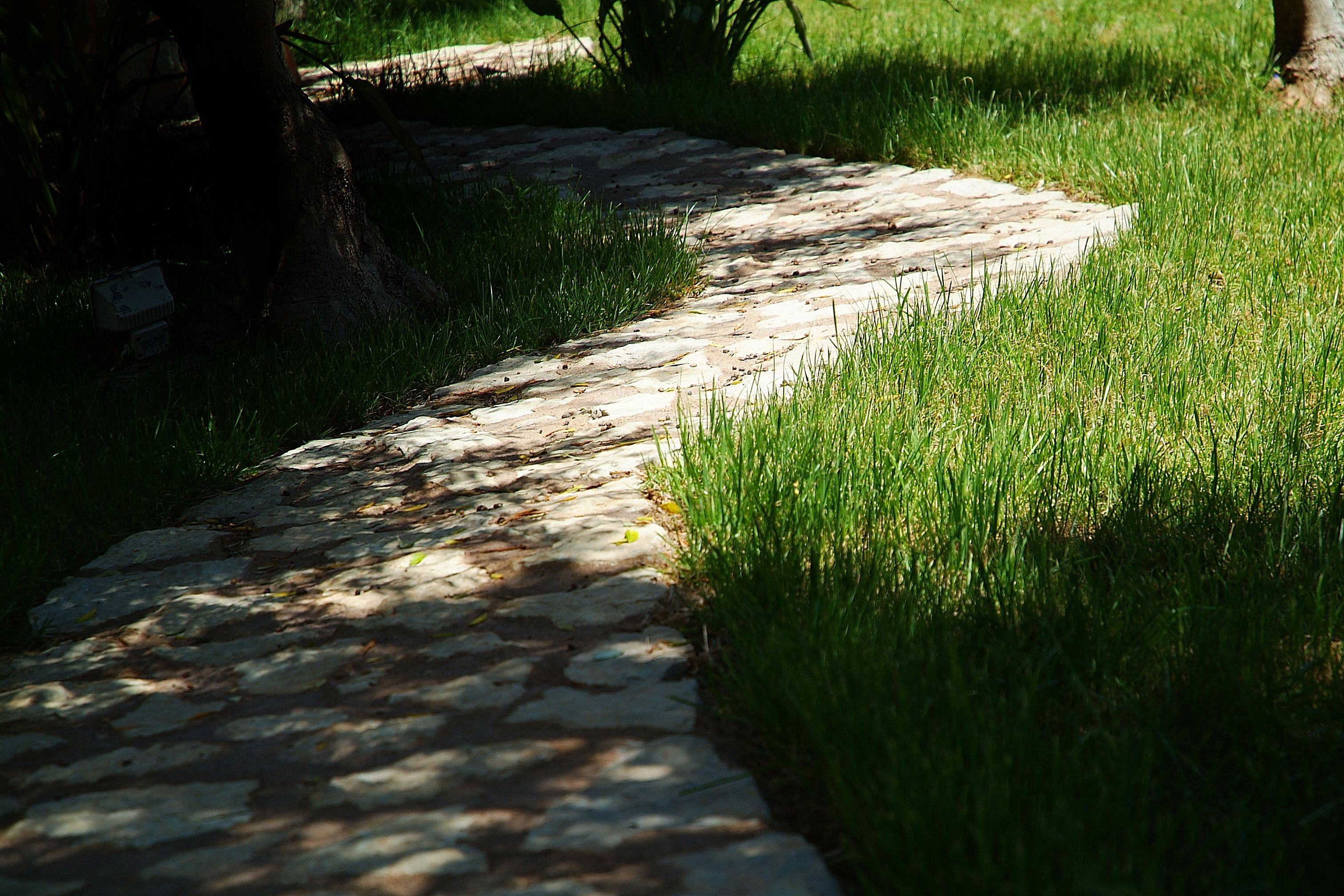 double room single use | in-room safe, desk, laptop workspace, blackout curtains