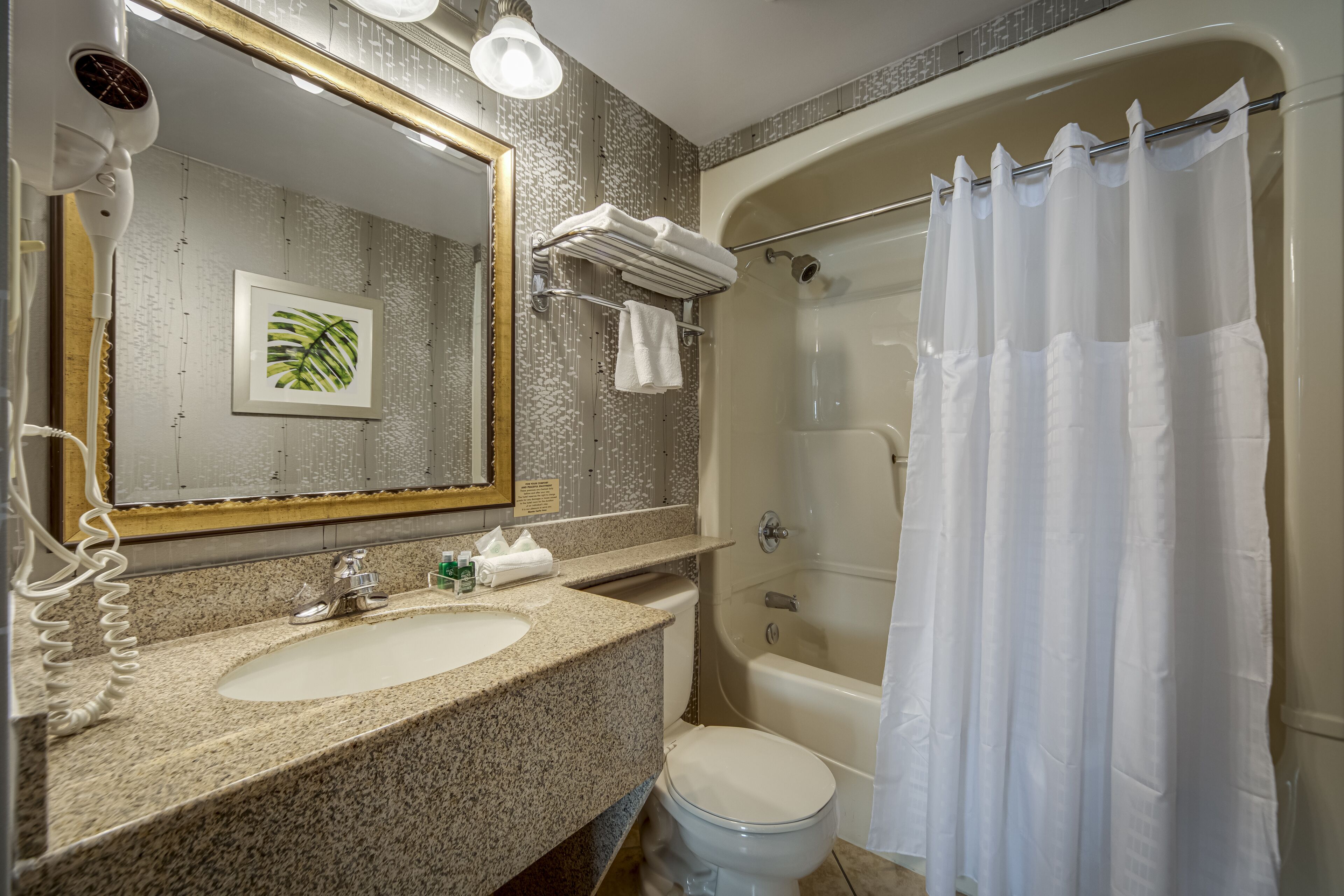 combined shower/bathtub, free toiletries, hair dryer, towels