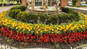 Un hotel con una fuente central, rodeado de un parterre de claveles y flores rojas, y fachada de ladrillo.