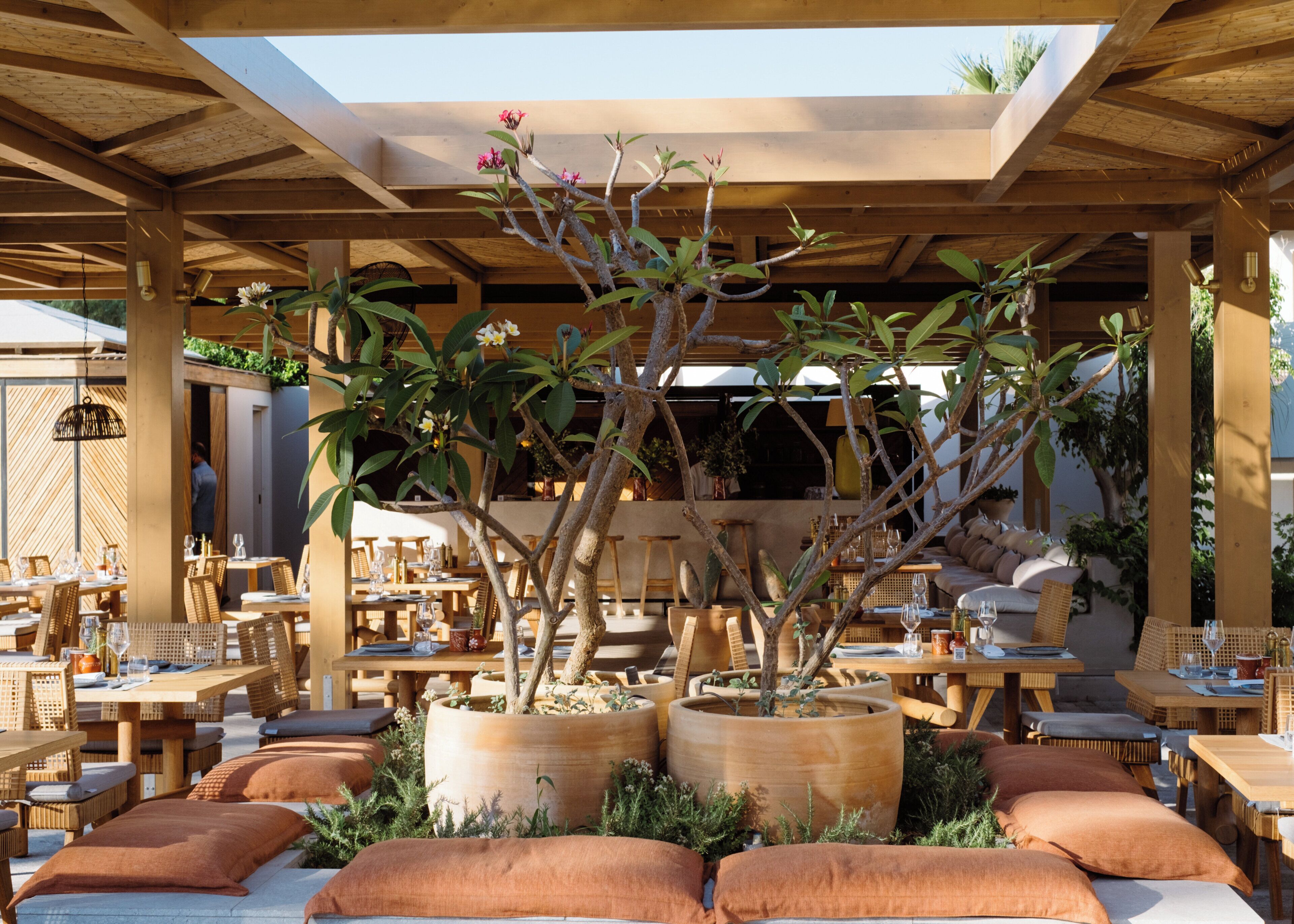 Un área de comedor al aire libre con mesas y sillas de madera, rodeada de plantas en macetas y una pérgola de madera.