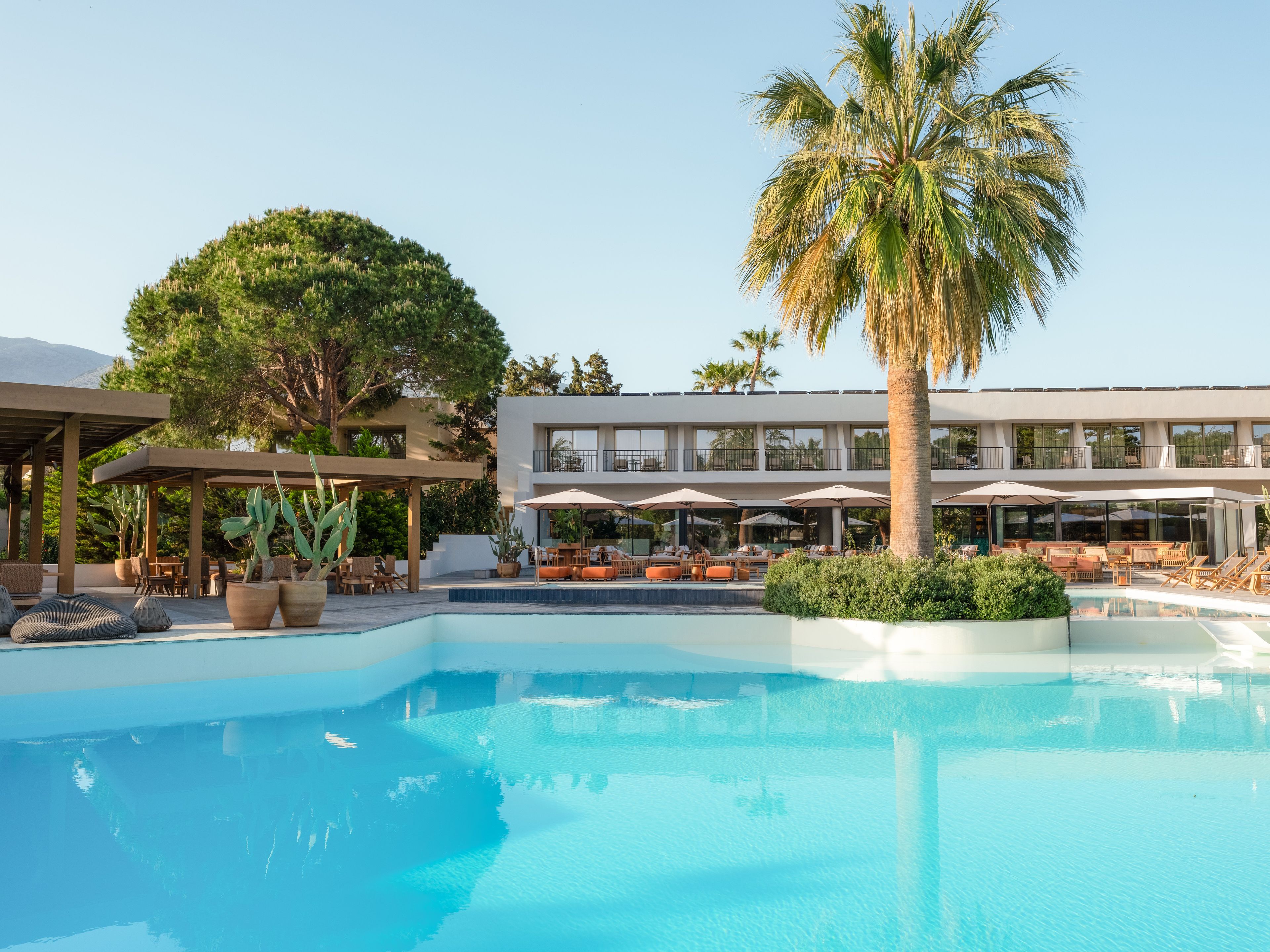 Un área de piscina con sillas de descanso, sombrillas y una palmera.