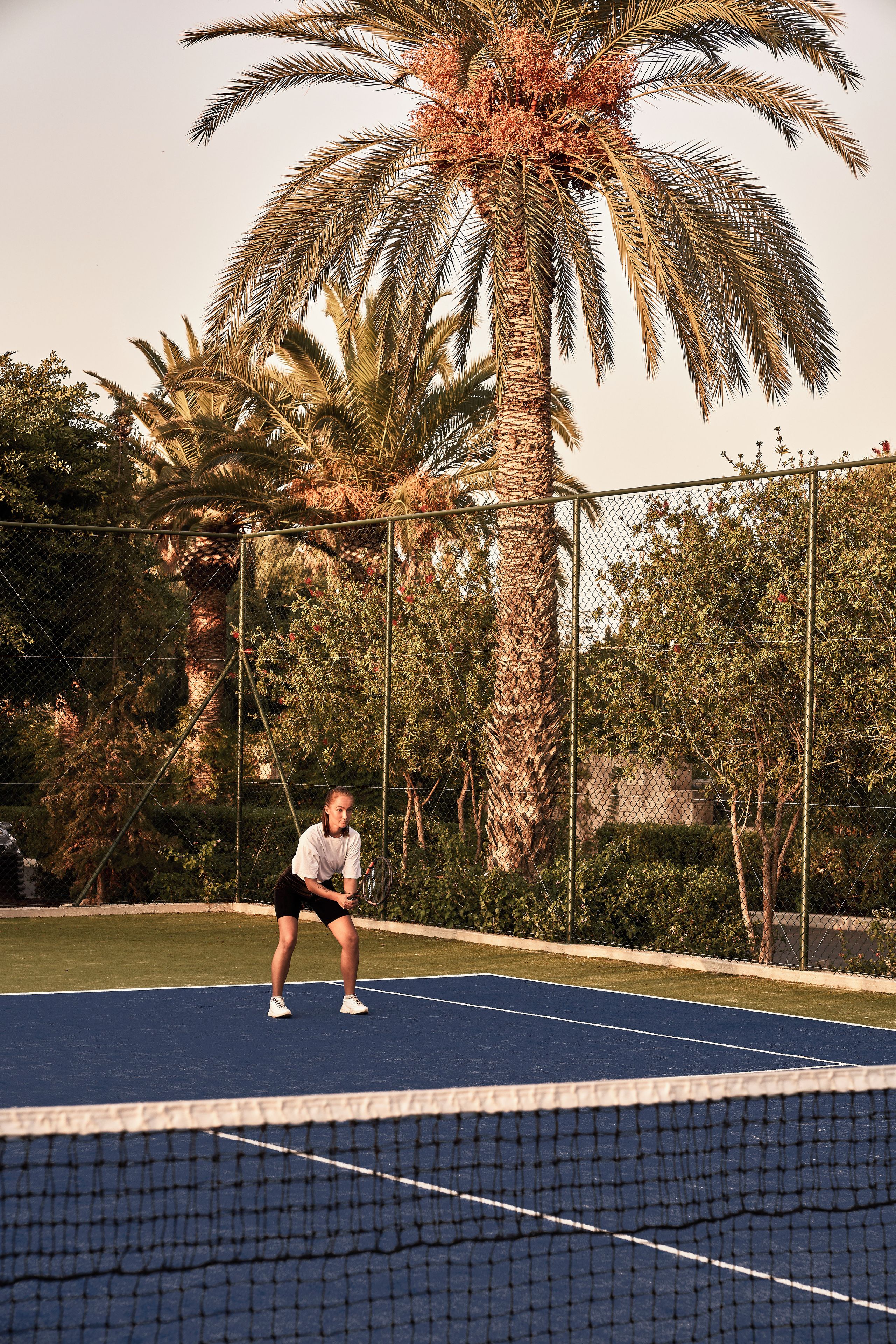 A tennis court with a net, surrounded by a chain-link fence and palm trees.