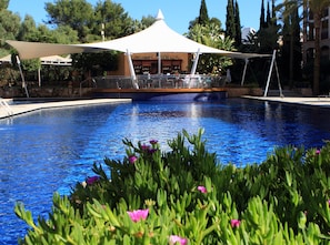 Relax by the serene pool surrounded by lush greenery and vibrant flowers.