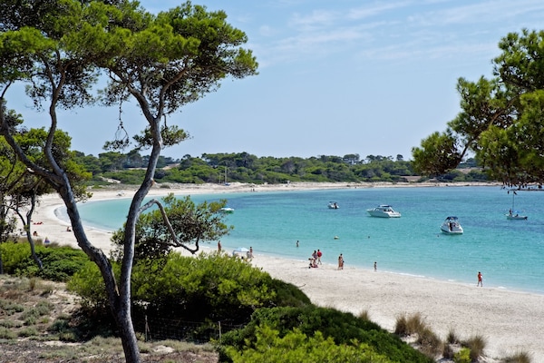 Gần bãi biển, khăn tắm biển