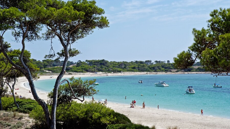 Aparthotel Isla de Cabrera