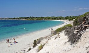 Plage à proximité, serviettes de plage