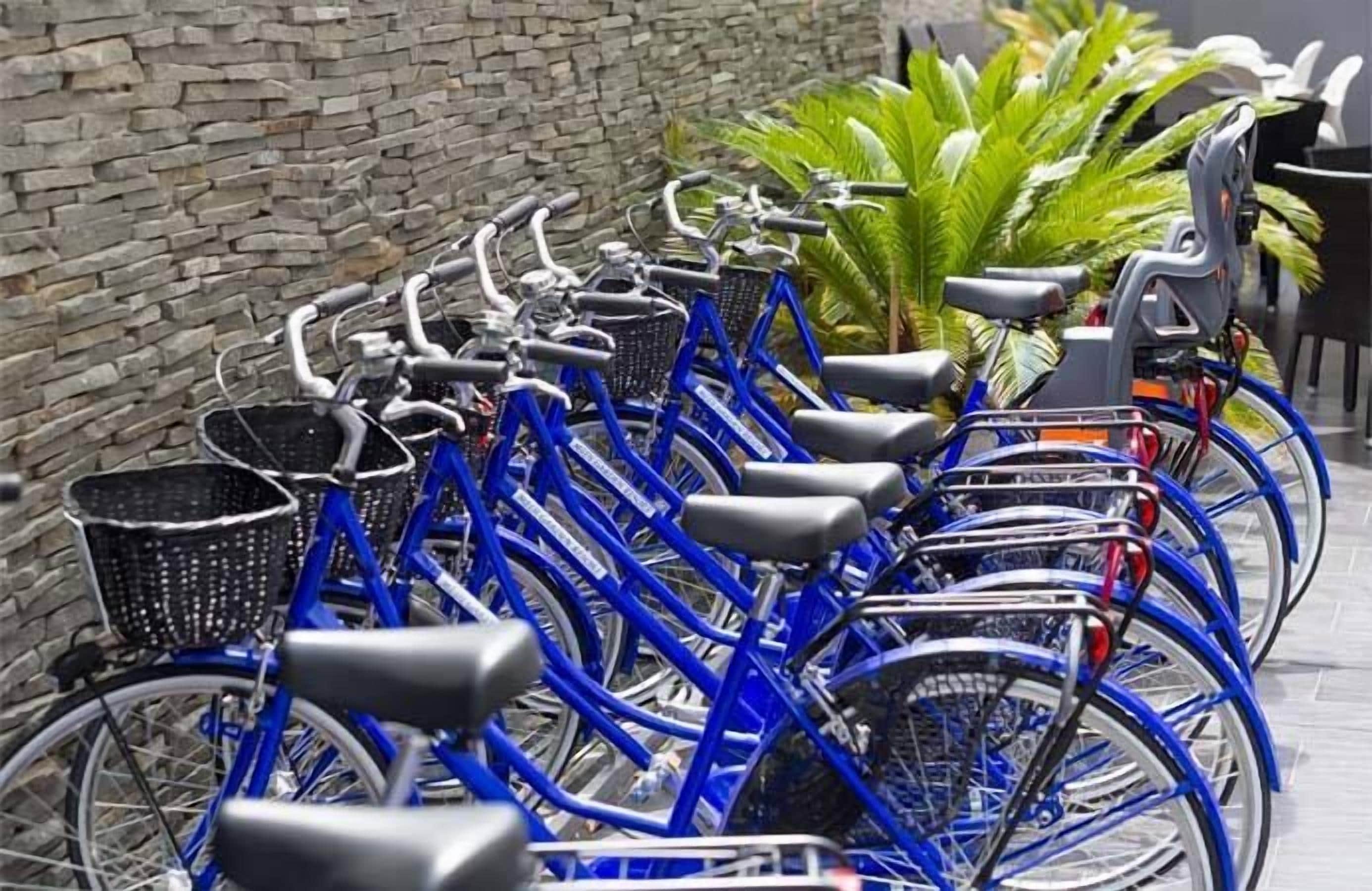 A row of blue bicycles parked against a stone wall, with a potted plant in the background.