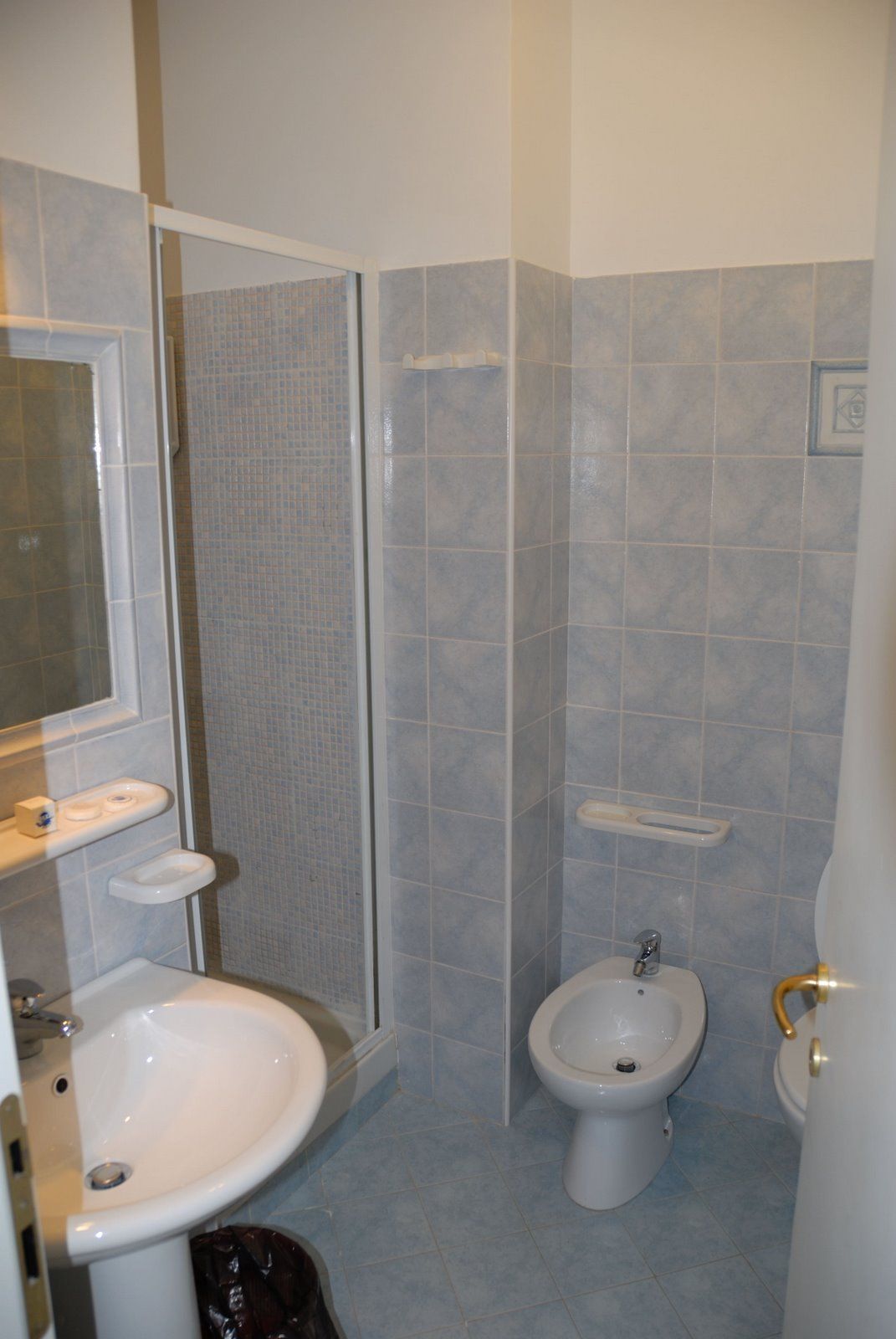 Un baño con ducha, lavabo y bidé.