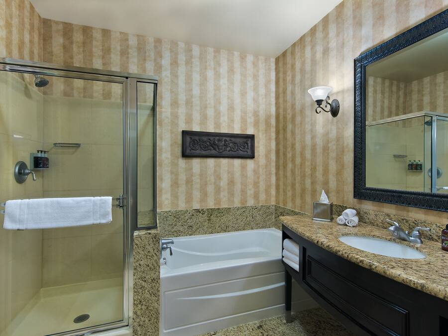 A bathroom with a glass-enclosed shower, a bathtub, a sink, and a large mirror.