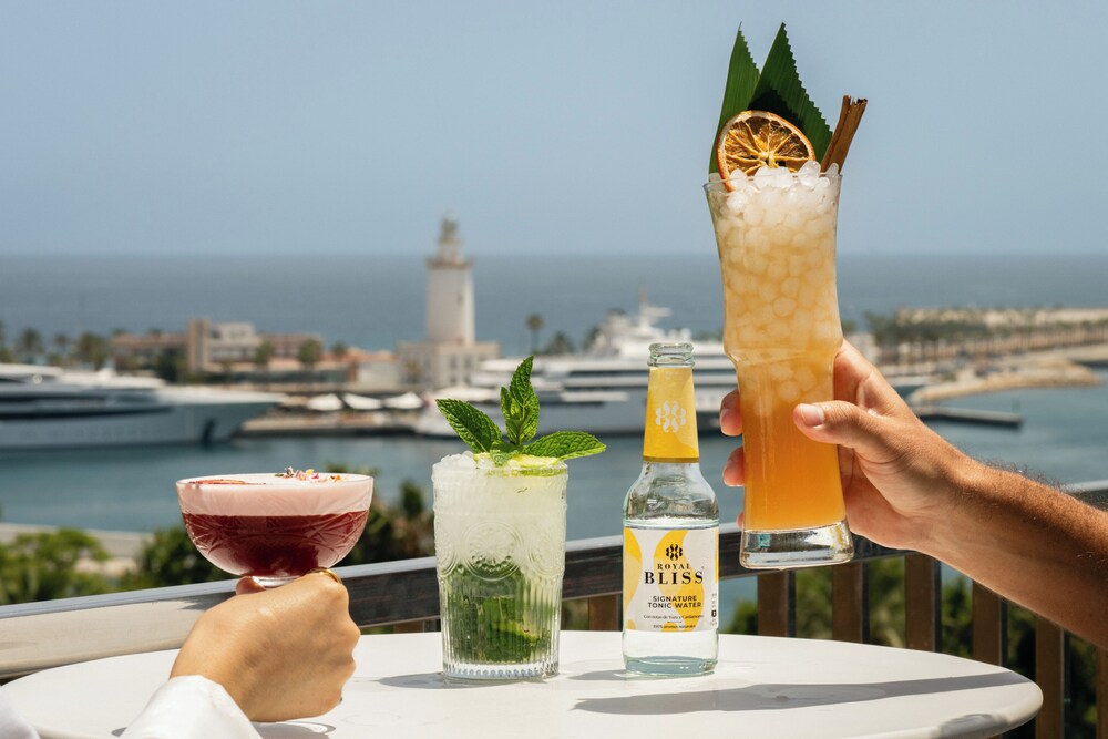 Hotel Molina Lario by null