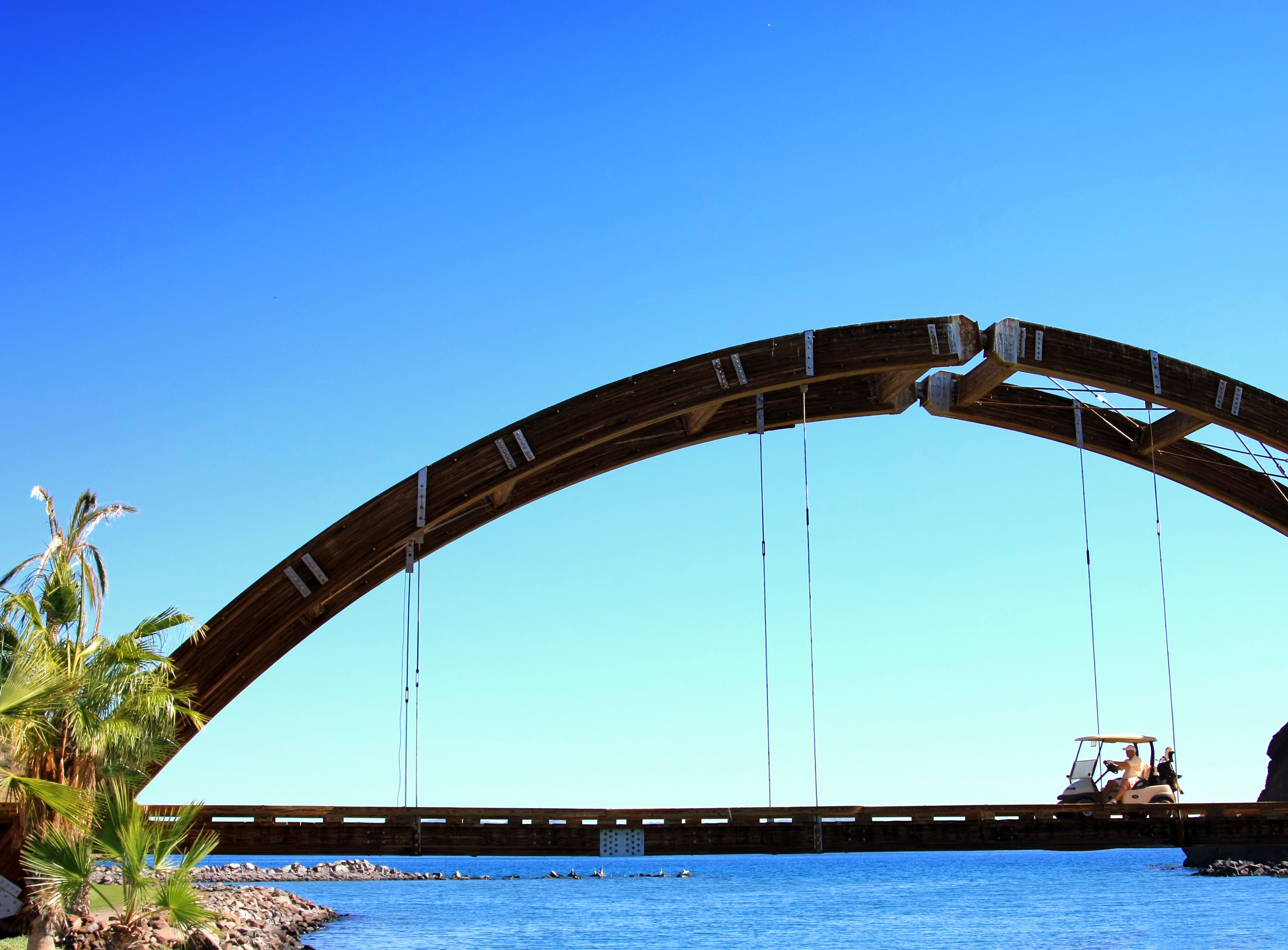 Een lange houten brug met kabels, palmbomen en een golfkarretje aan de rechterkant.